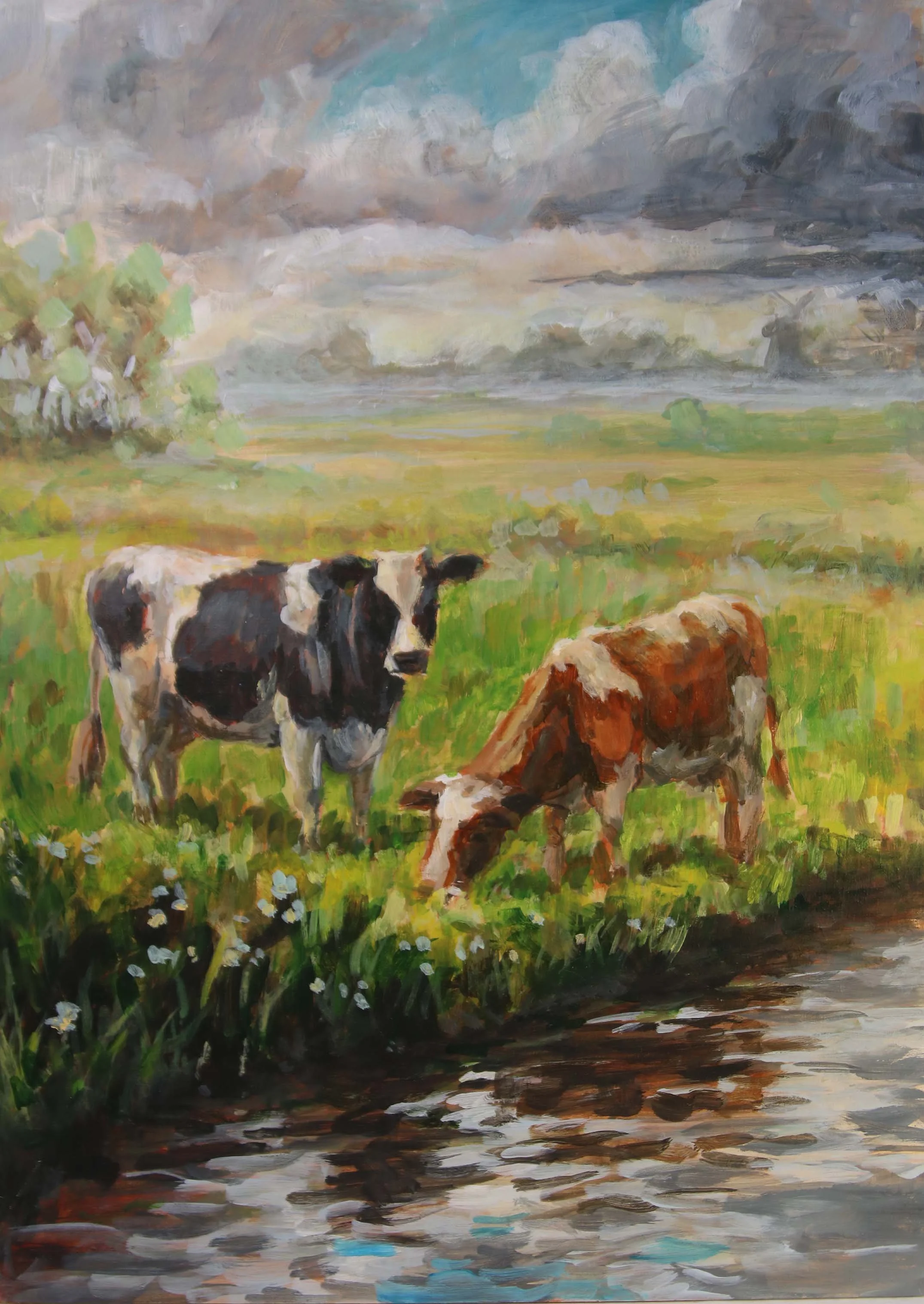 Friese koeien (30x40cm)
