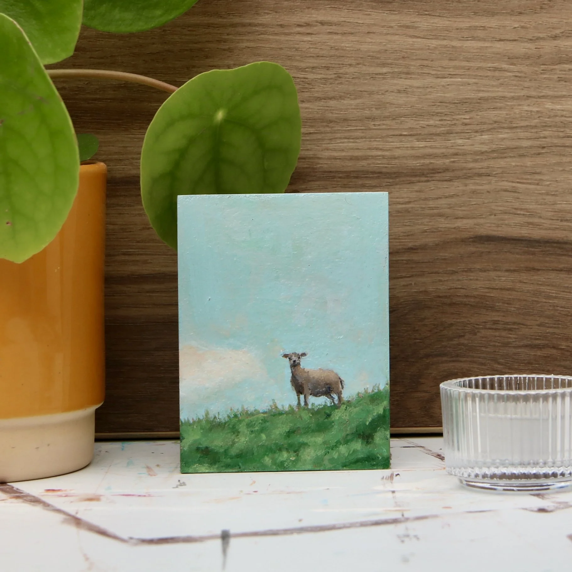 Schaapje op Terschelling  (7,5x10cm)