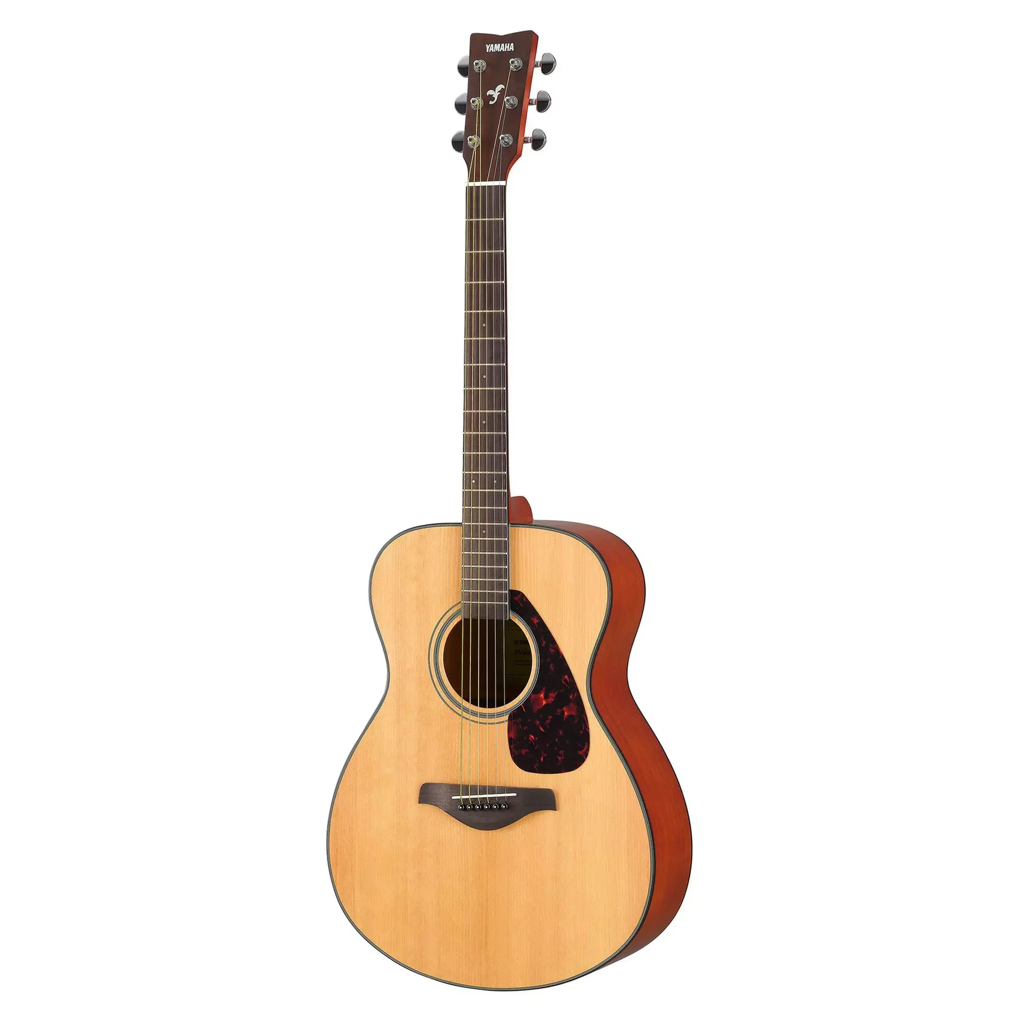 Semi Acoustic Guitar