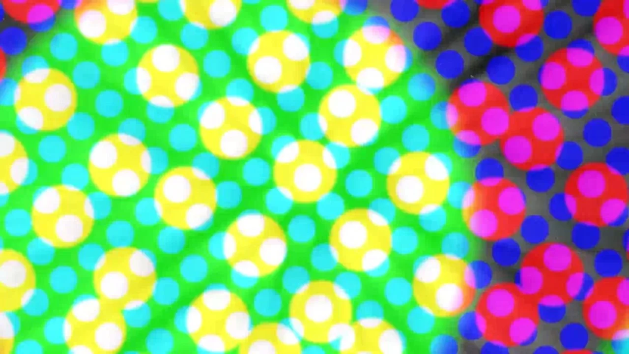 video_image (2).jpeg