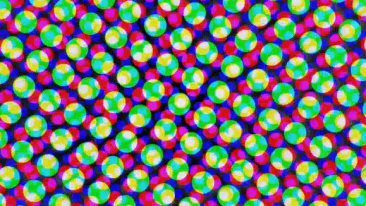 video_image (8).jpeg