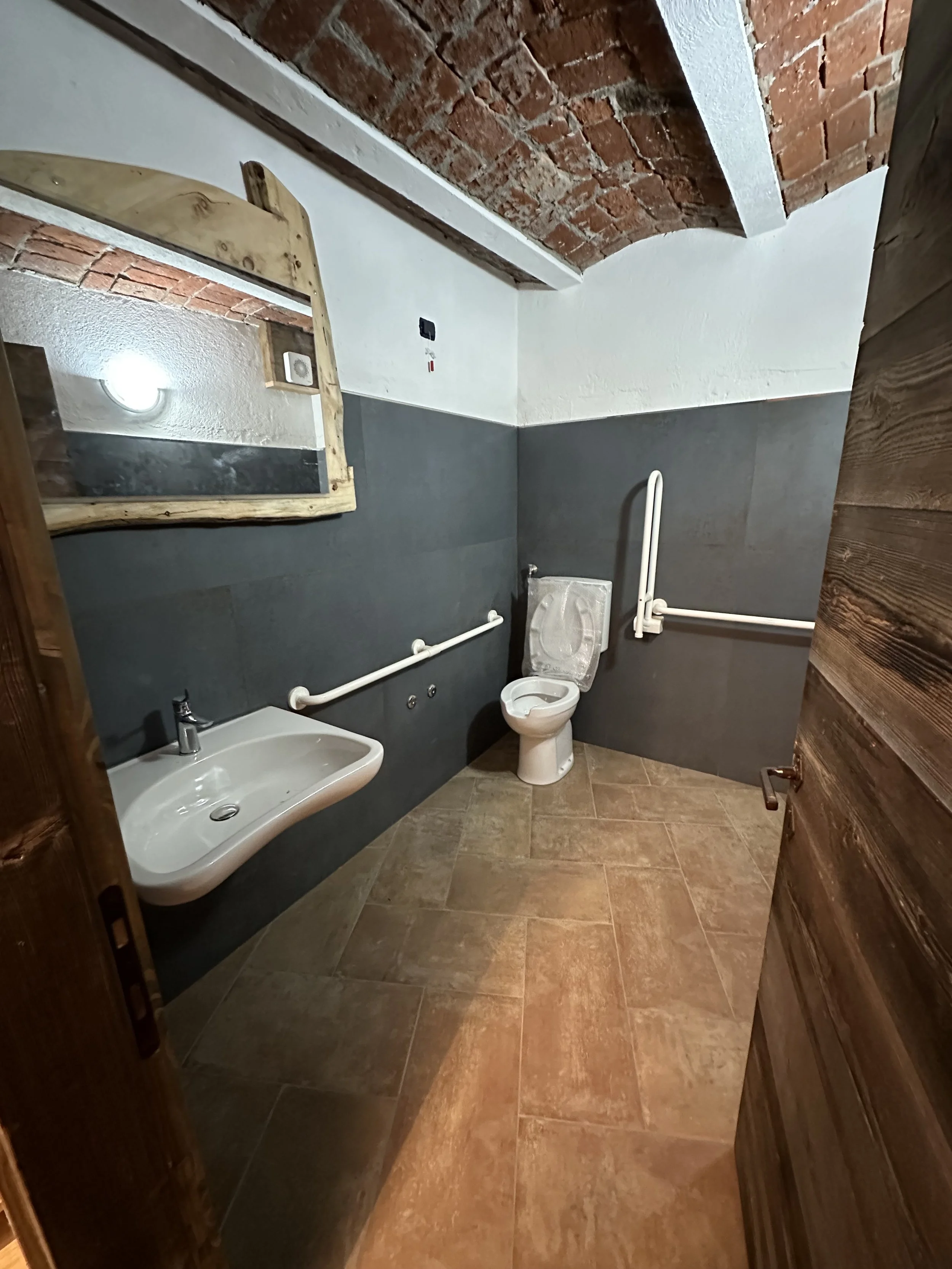 Bagno con pareti grigie, pavimento in piastrelle marroni, soffitto in mattoni rossi, lavabo bianco, specchio con cornice in legno grezzo, servizi igienici con sbarra di sicurezza, porta di legno aperta.