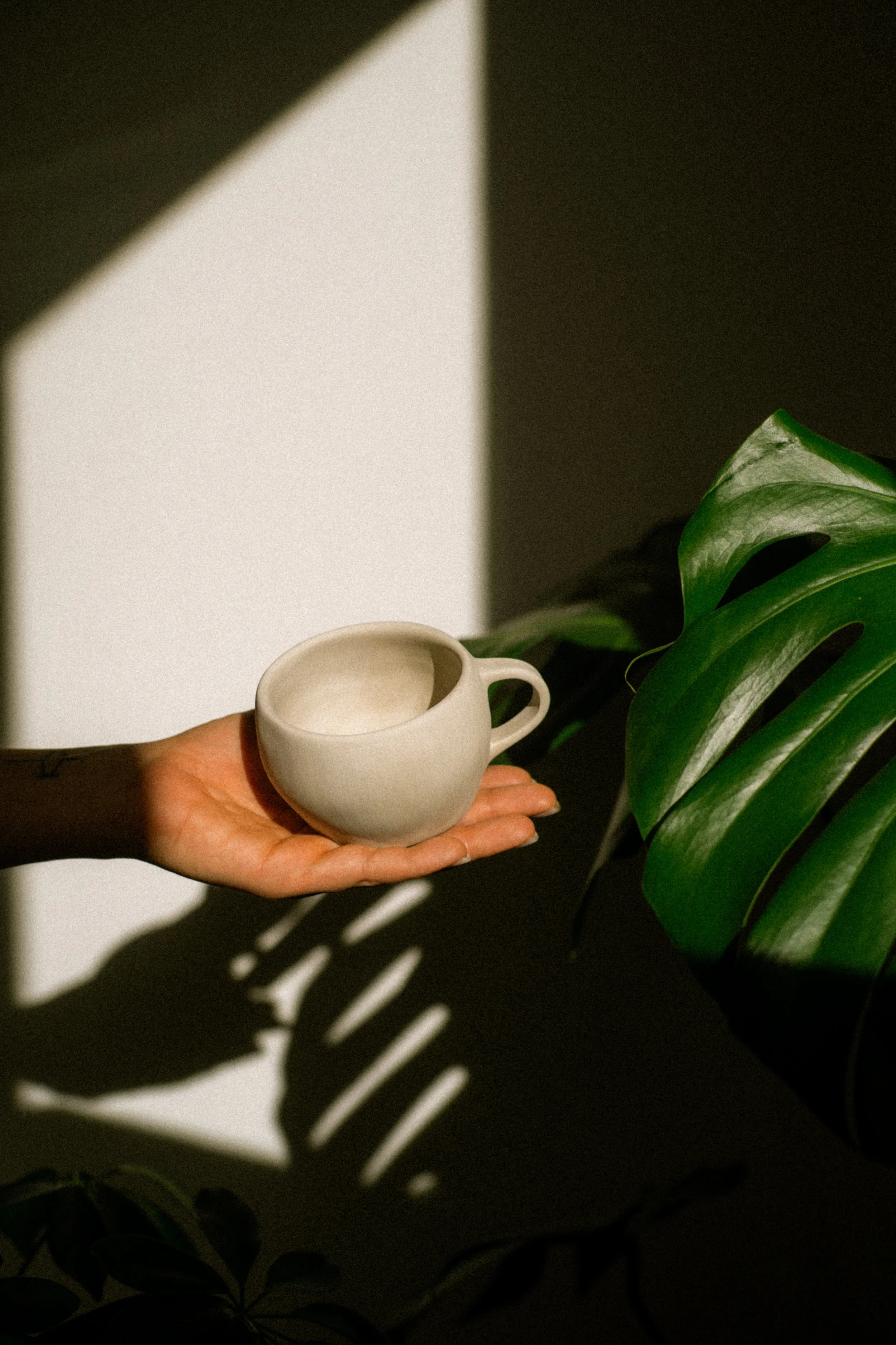 Person holding a small bone-dry ceramic mug in front of a dark background with a large green plant and shadow of the cup cast on a wall.
