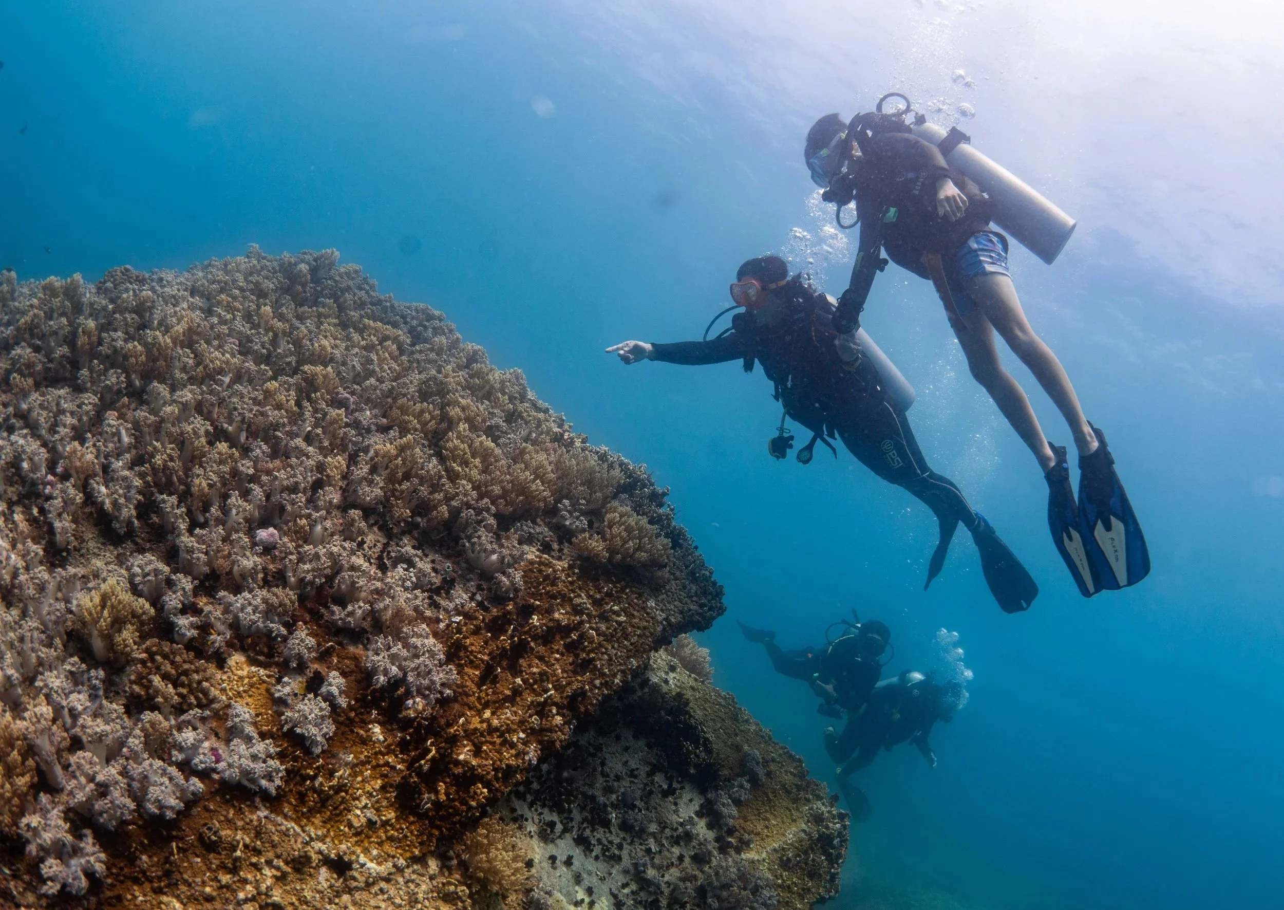 Two scuba divers exploring a coral reef underwater.