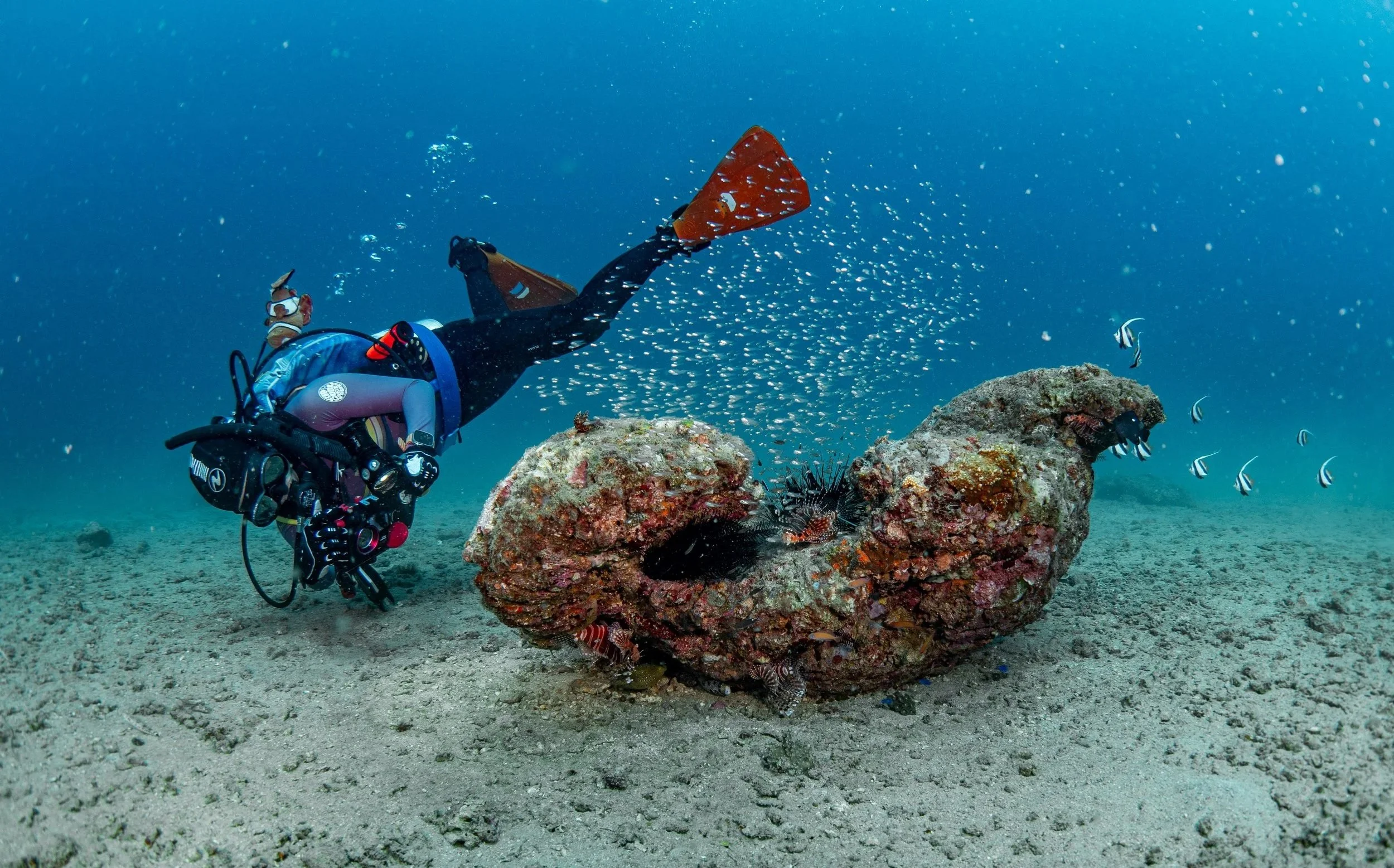 A scuba diver swimming near a large rock with marine life around it in the ocean.