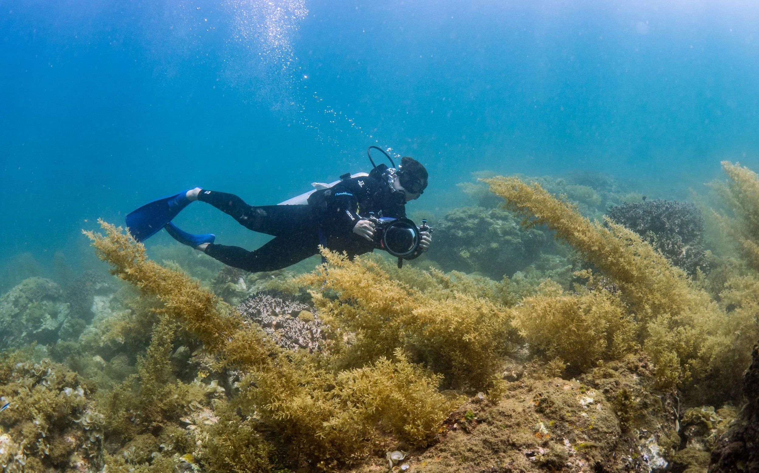 A scuba diver in black wetsuit, mask, and fins exploring coral reef underwater, holding a camera.