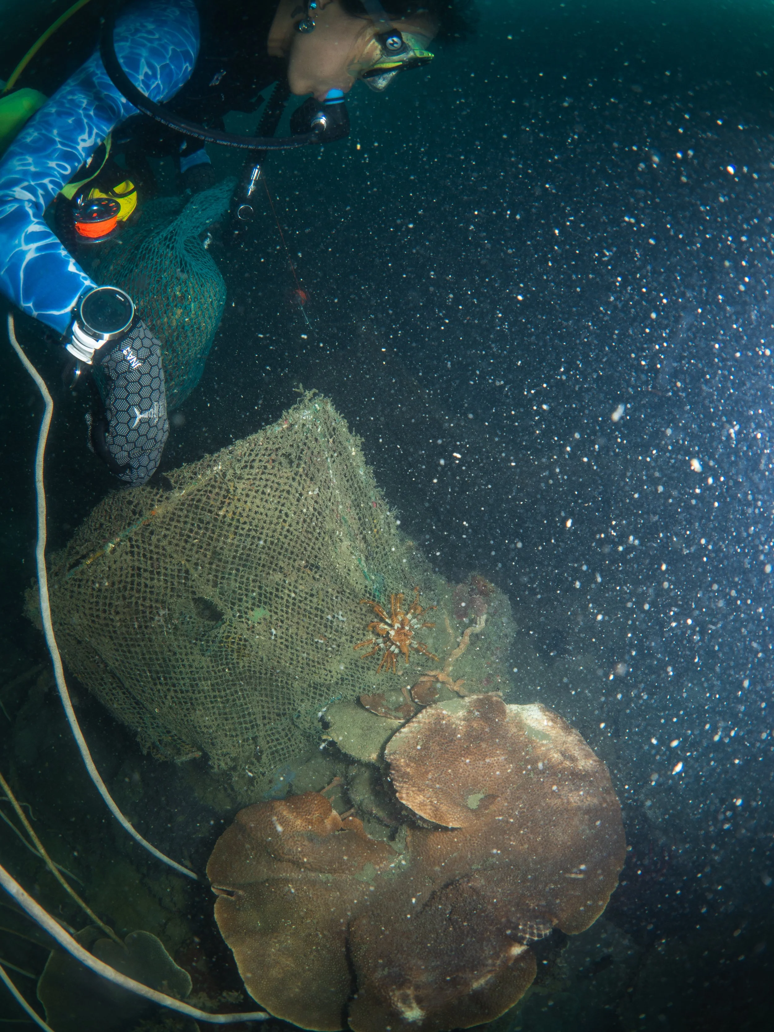 VietDivers - Lụm rác PQ Bắc Đảo 20_12_2025-67.jpg