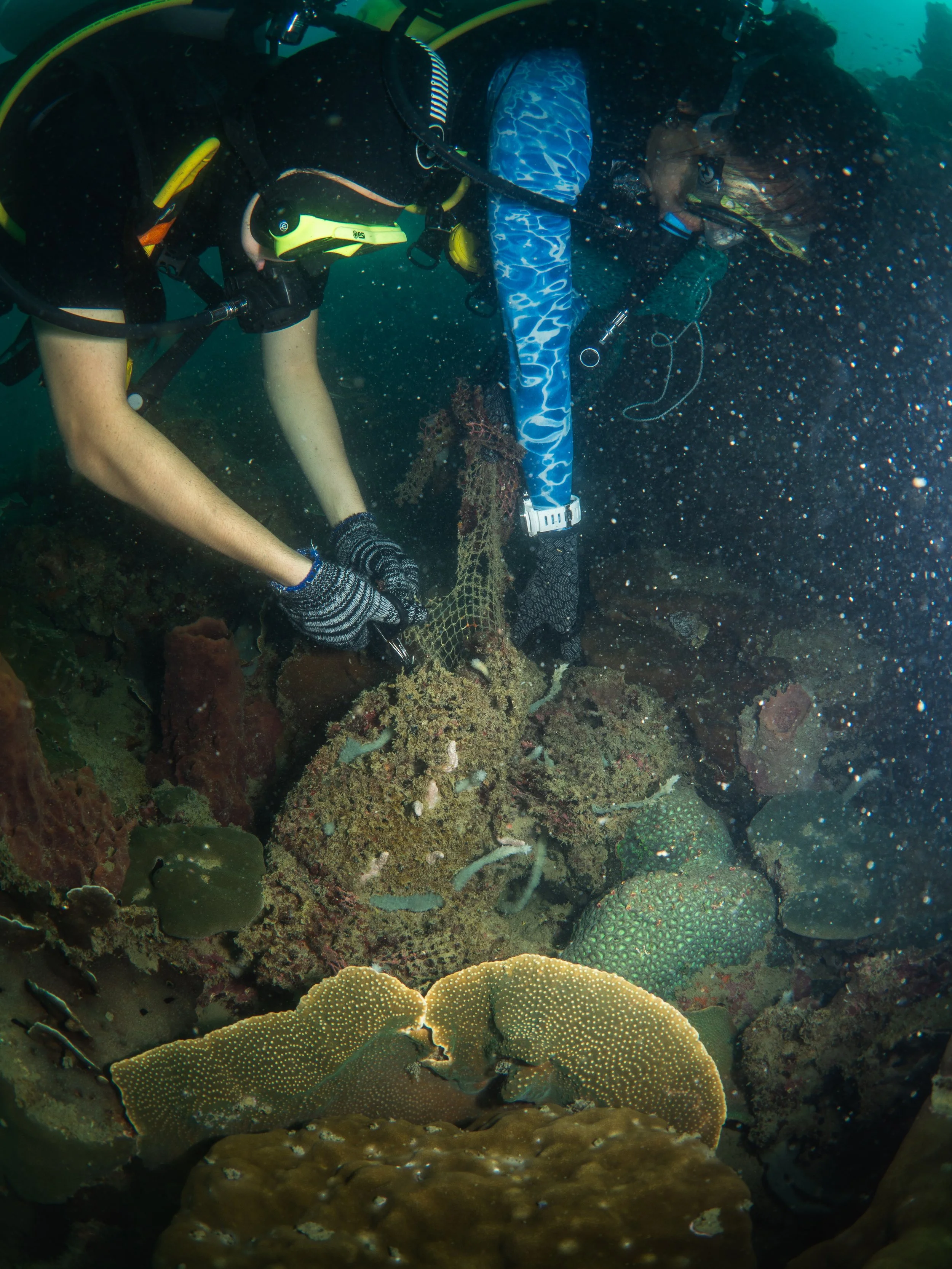 VietDivers - Lụm rác PQ Bắc Đảo 20_12_2025-70.jpg