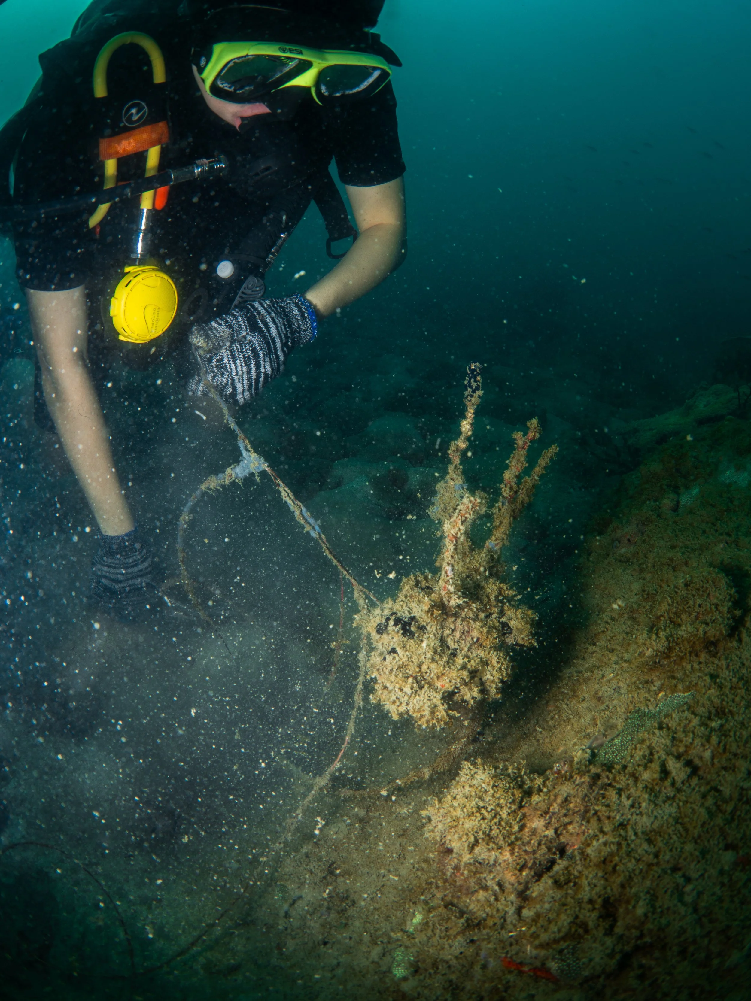 VietDivers - Lụm rác PQ Bắc Đảo 20_12_2025-86.jpg