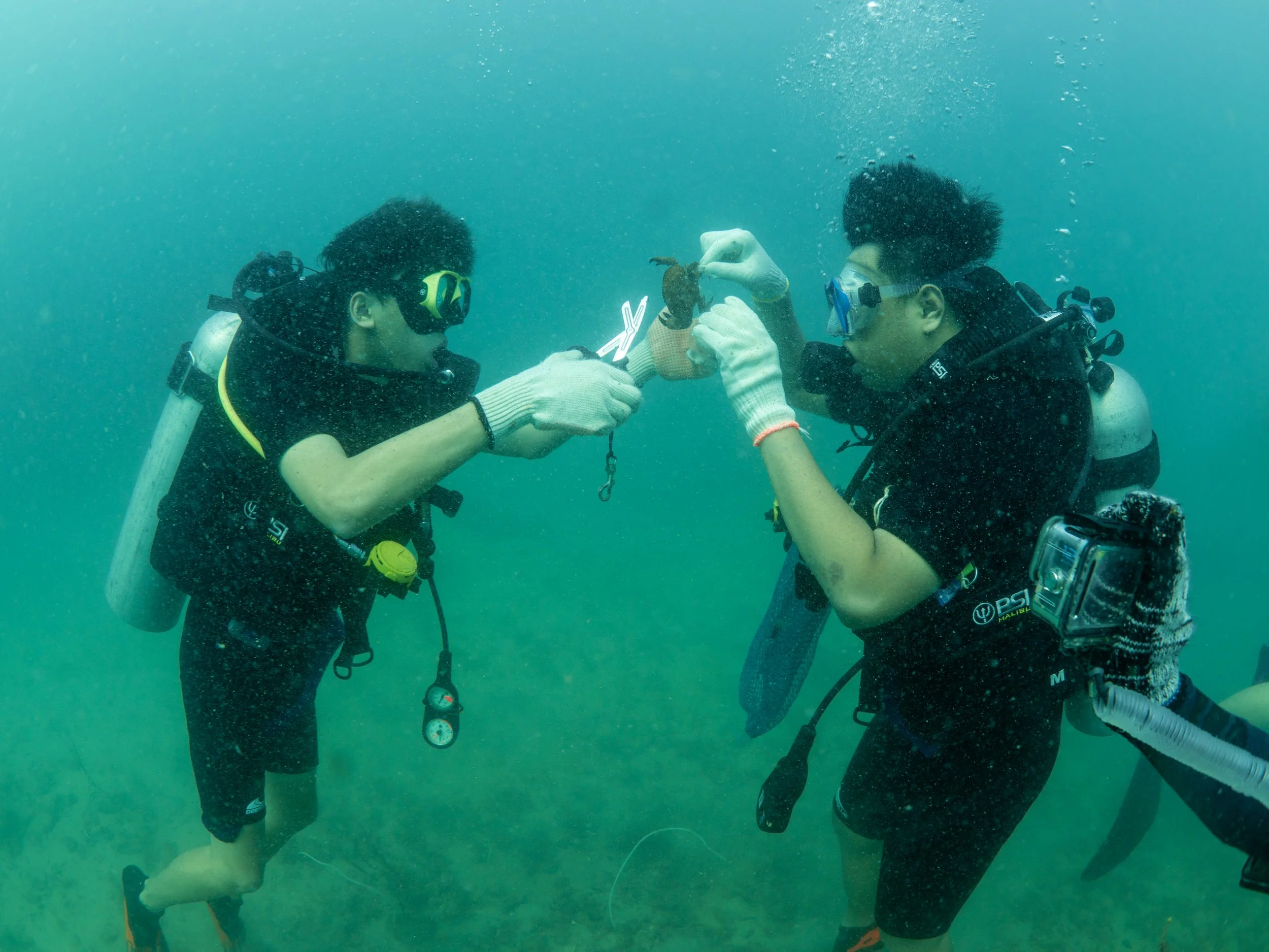 VietDivers - Lụm rác PQ Nam Đảo 21_12_2025-34.jpg