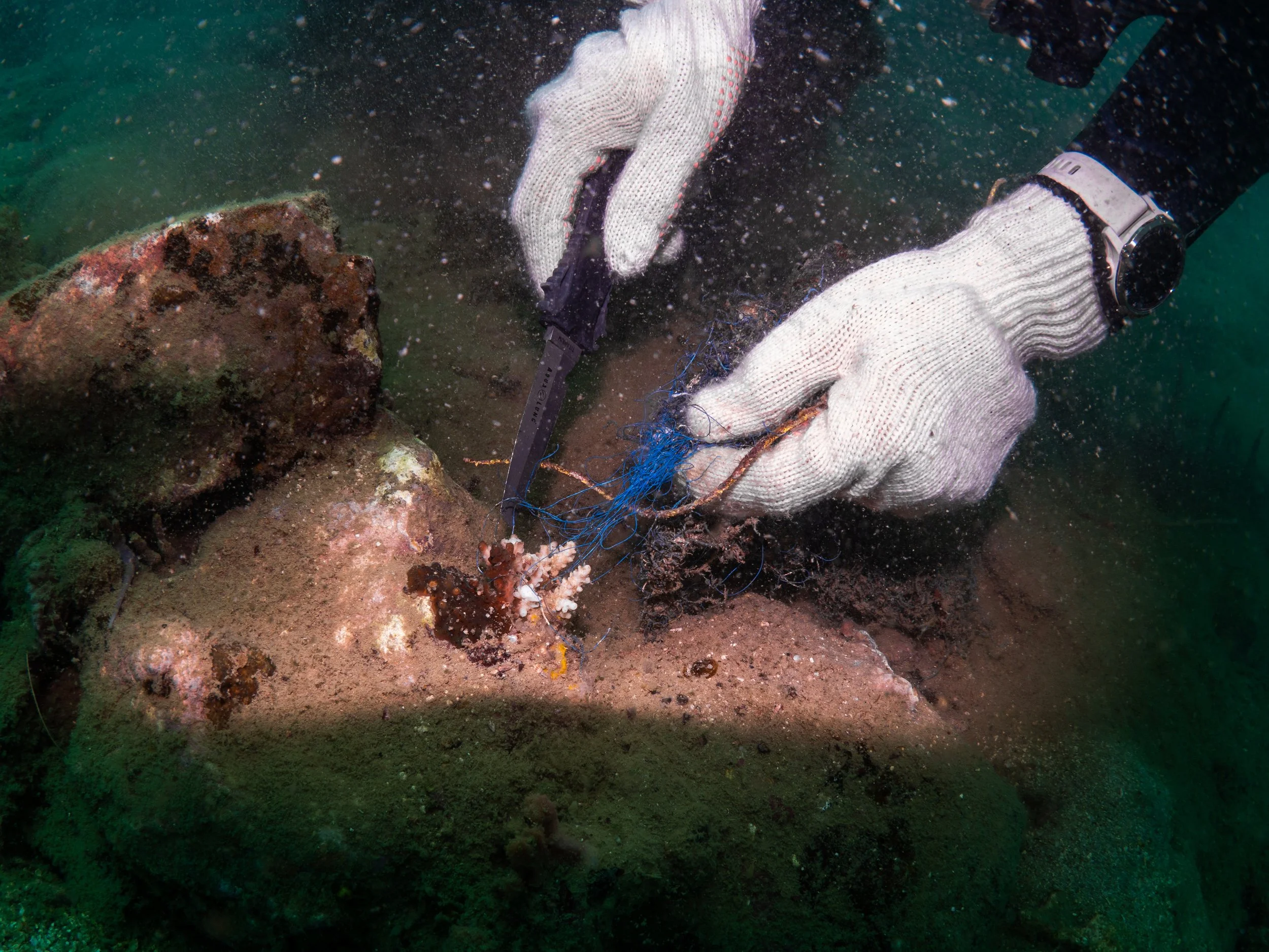 VietDivers - Lụm rác PQ Nam Đảo 19_12_2025-095.jpg