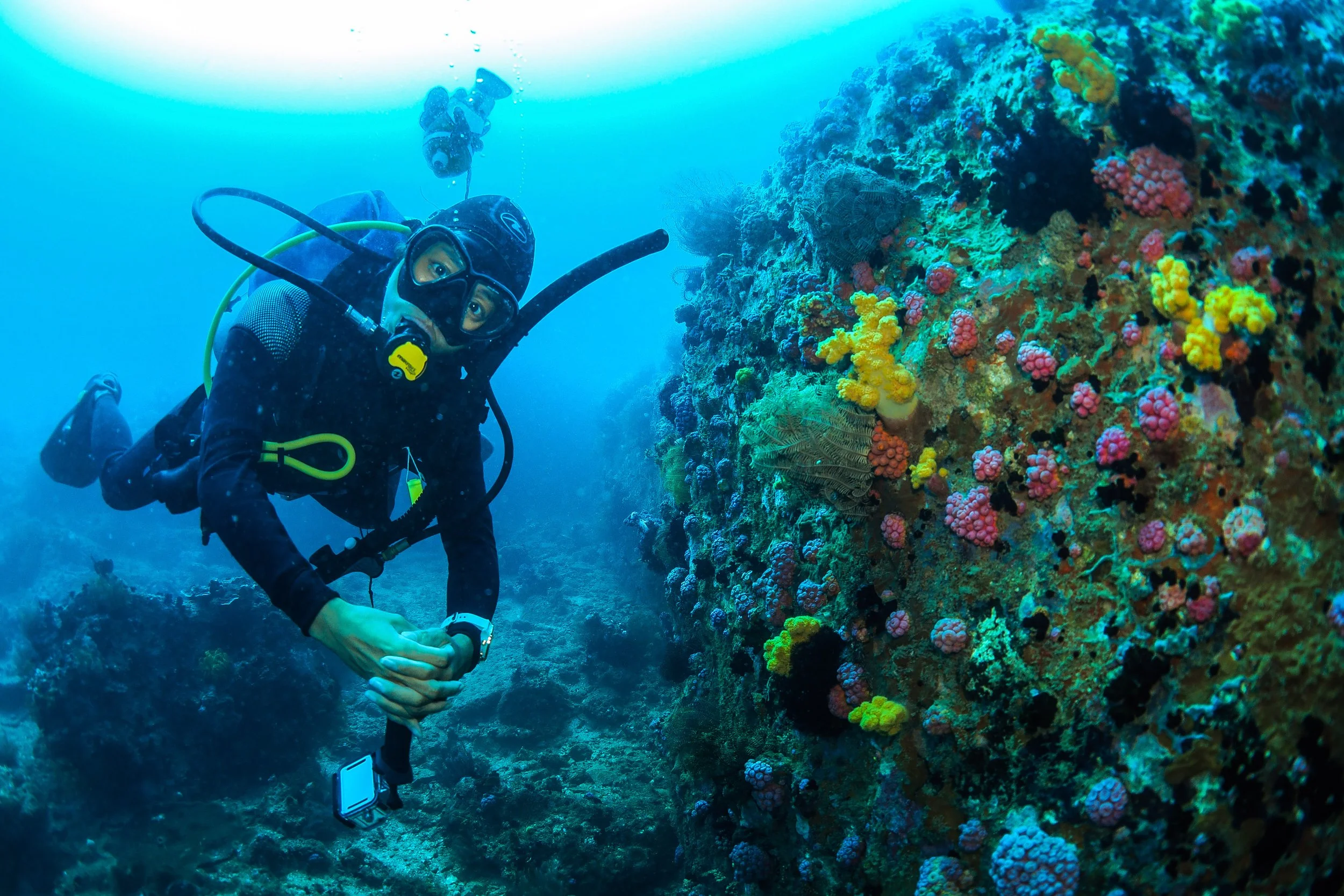 A scuba diver exploring a colorful coral reef underwater.