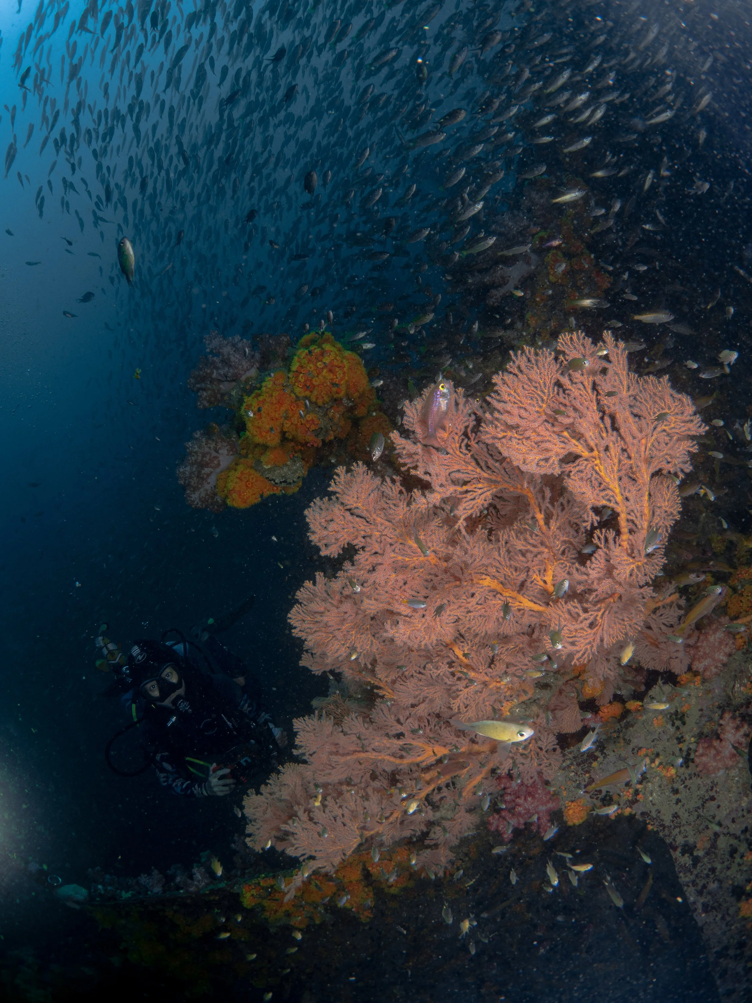 Viet Divers - Phuket trip 12-3-24-18.jpg
