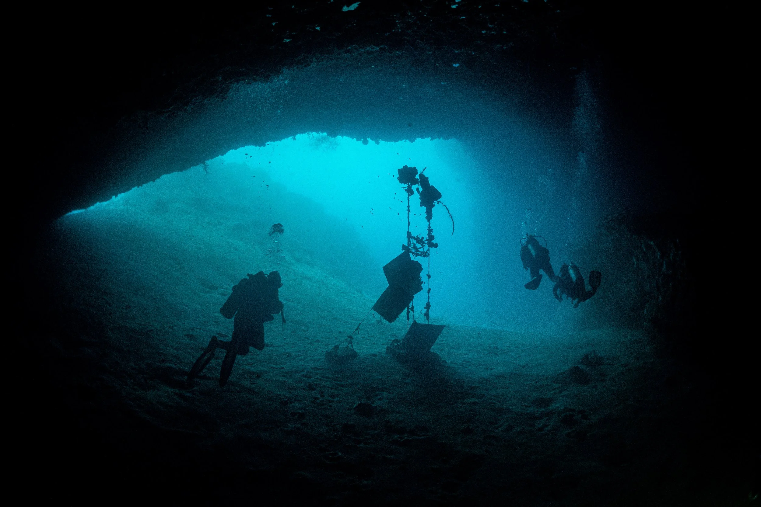 Vietdivers - Sipadan 1-9-2023-22.jpg