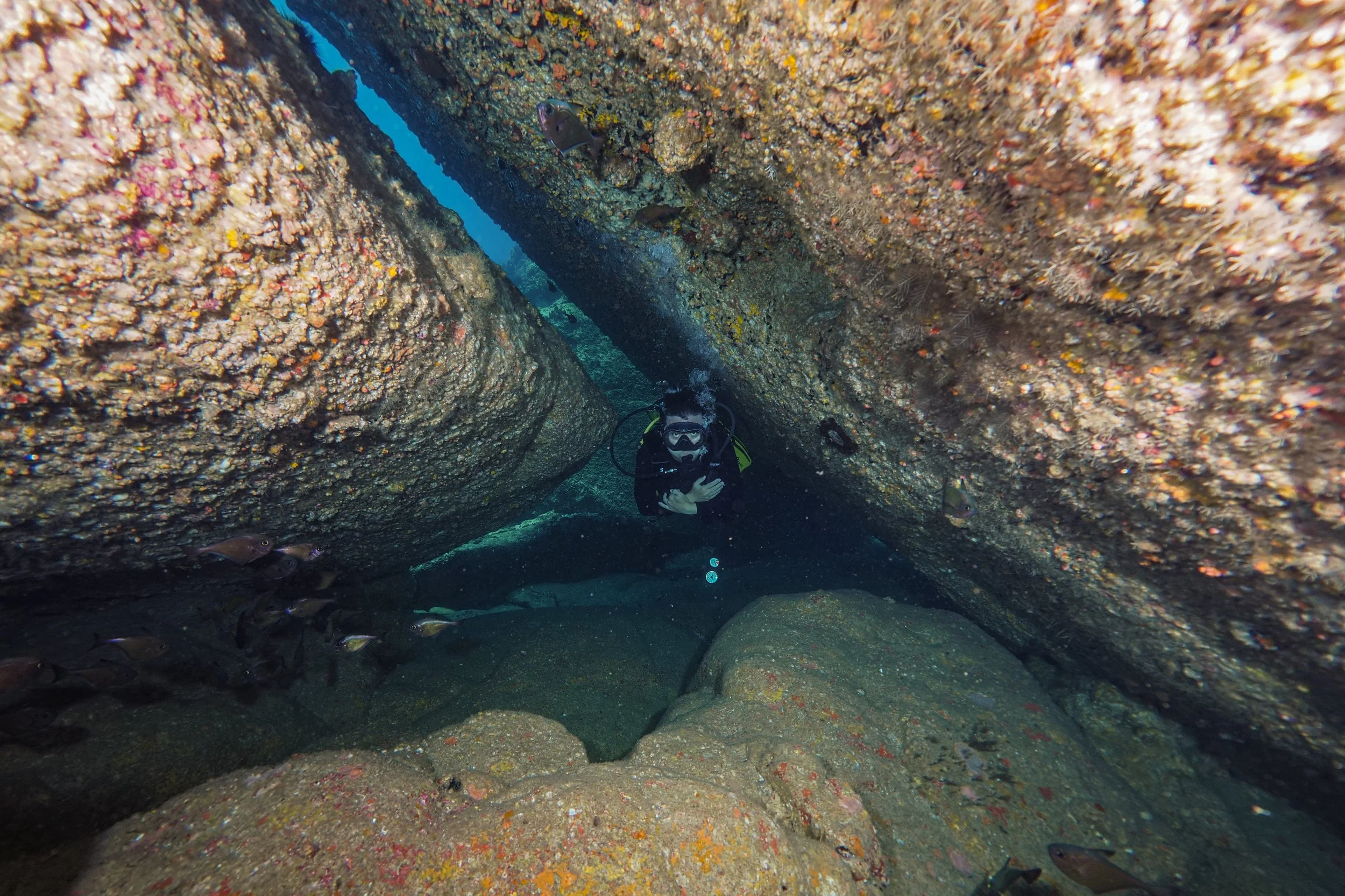 Scuba diver navigating through a narrow underwater rock crevice with fish swimming nearby.