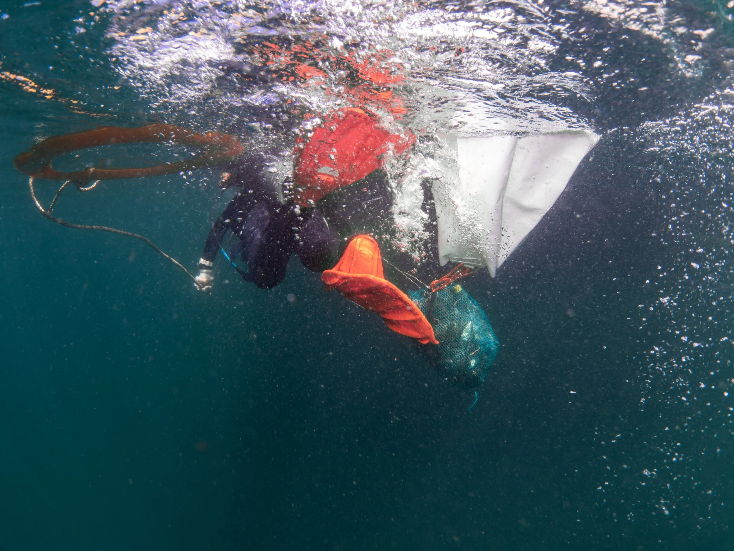 VietDivers - Lụm rác PQ Nam Đảo 19_12_2025-069.jpg