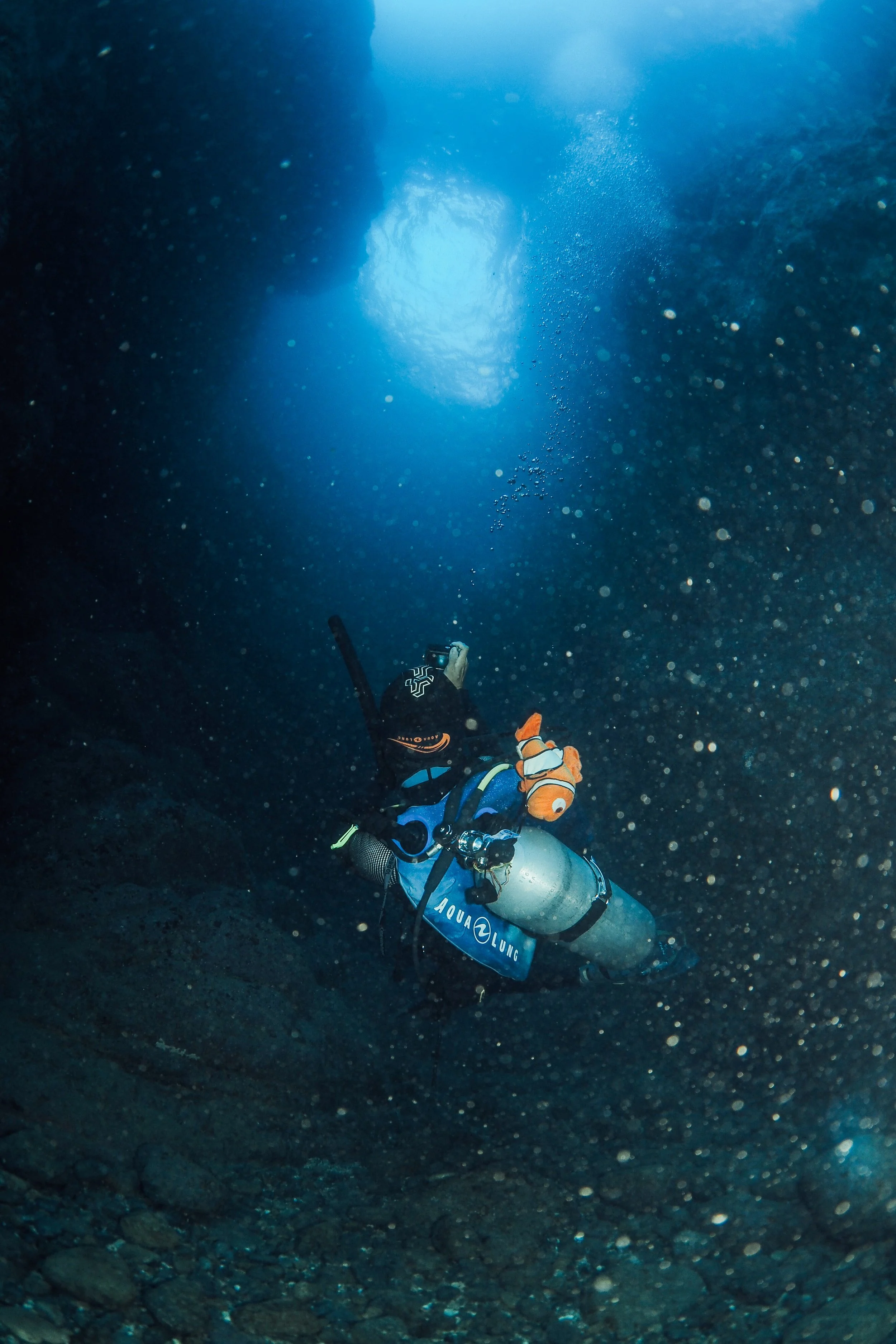 A scuba diver exploring underwater near a rocky ocean floor with sunlight filtering from above.