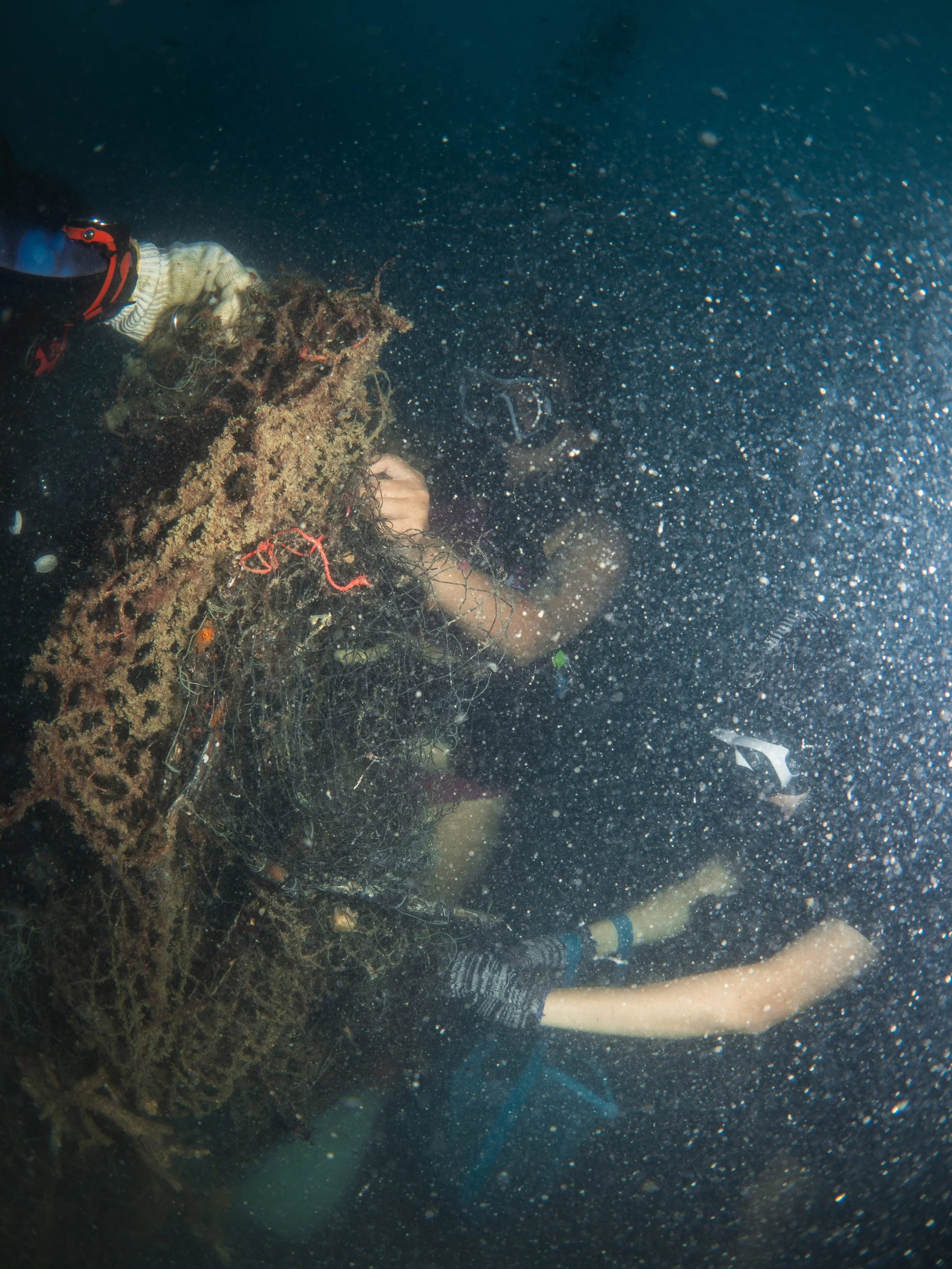 VietDivers - Lụm rác PQ Bắc Đảo 20_12_2025-60.jpg