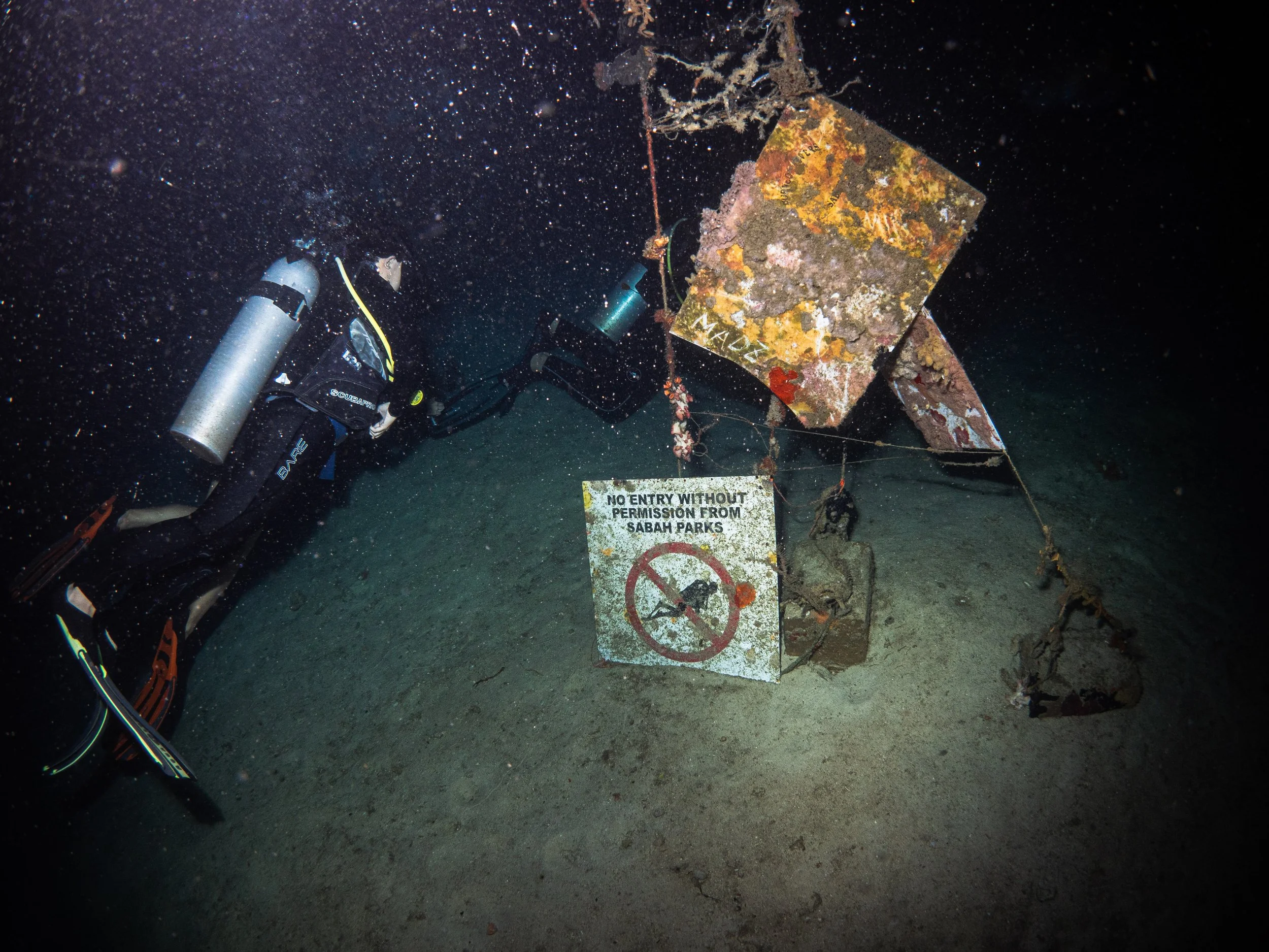 Vietdivers - Sipadan 1-9-2023-11.jpg