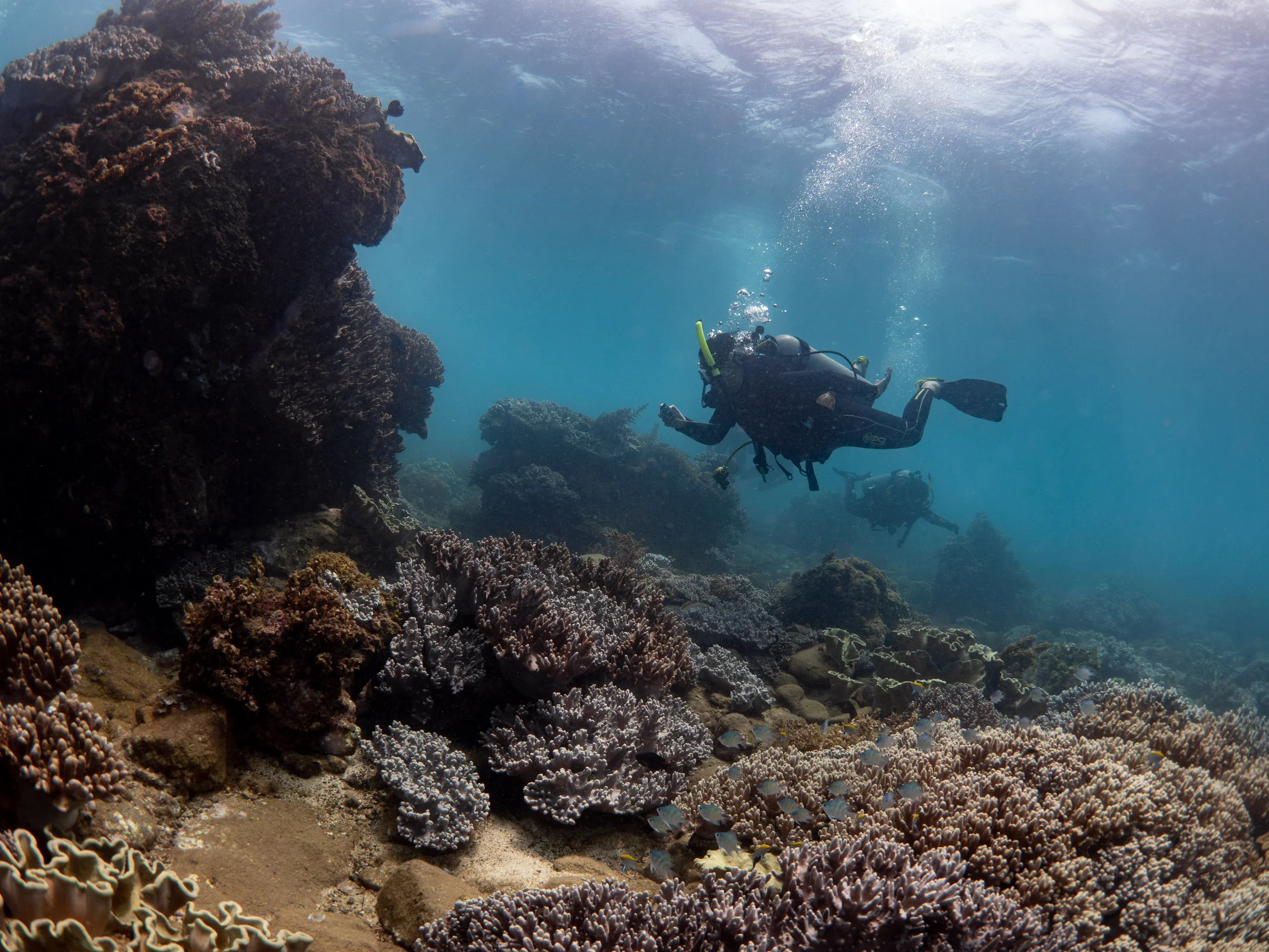 Two scuba divers exploring a vibrant coral reef underwater.