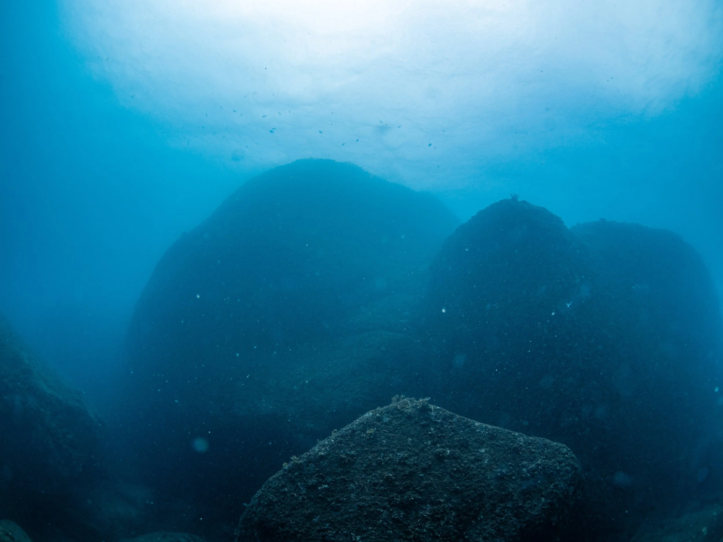Underwater scene of large rocks covered in algae, with a blue aquatic environment and particles floating in the water.