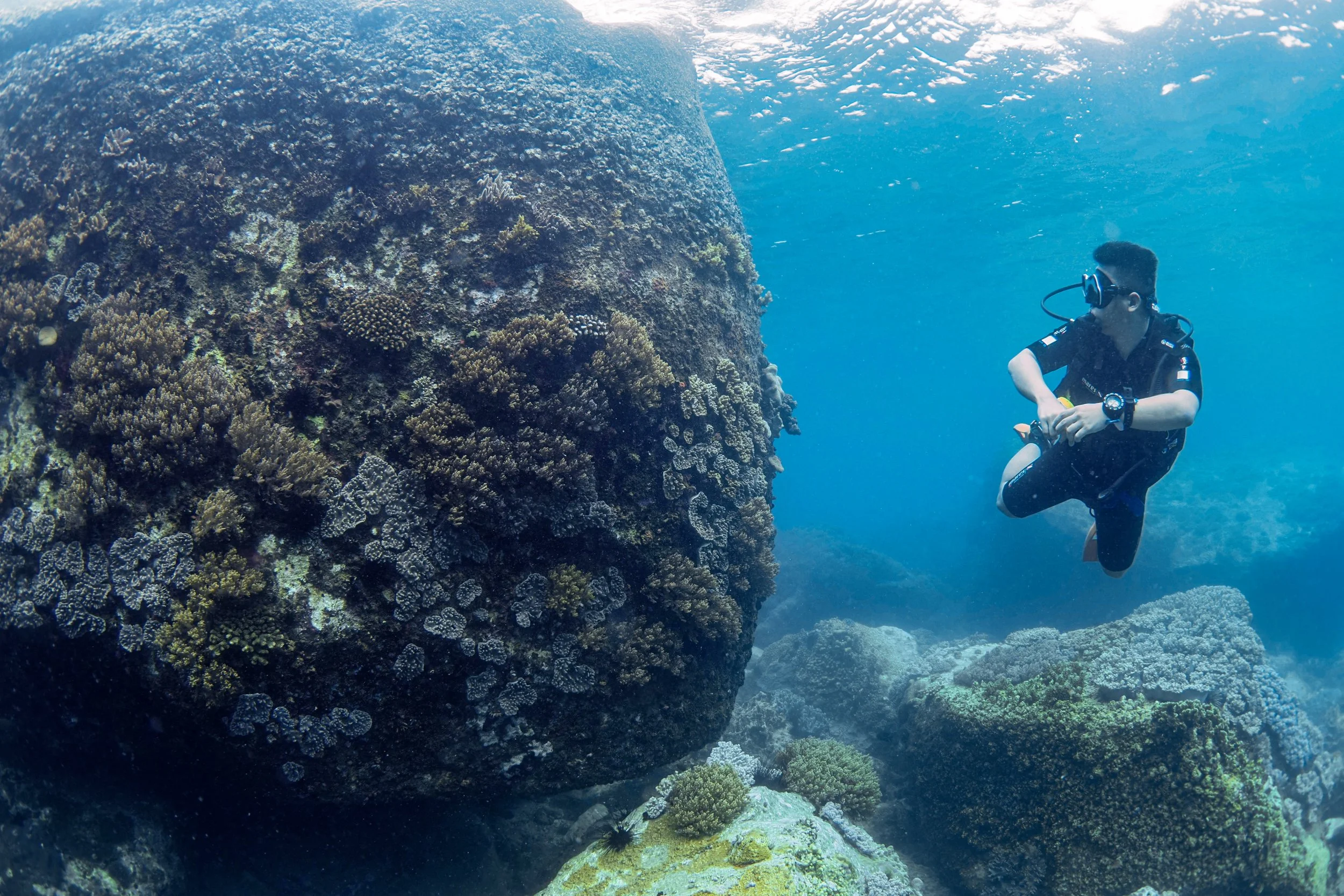 A person wearing scuba diving gear exploring a coral reef with large rocks and various corals underwater.