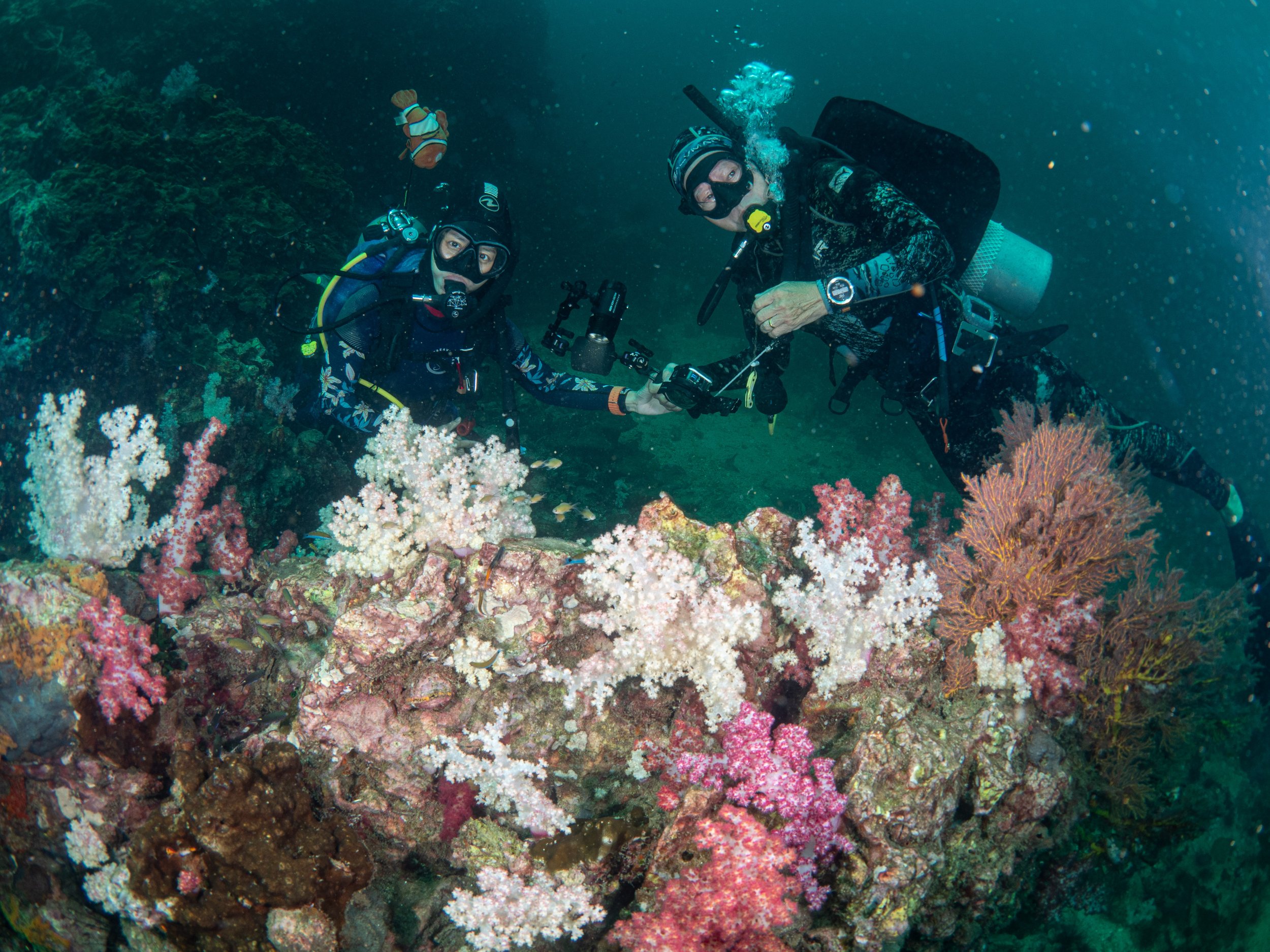 Viet Divers - Phuket trip 12-3-24-48.jpg