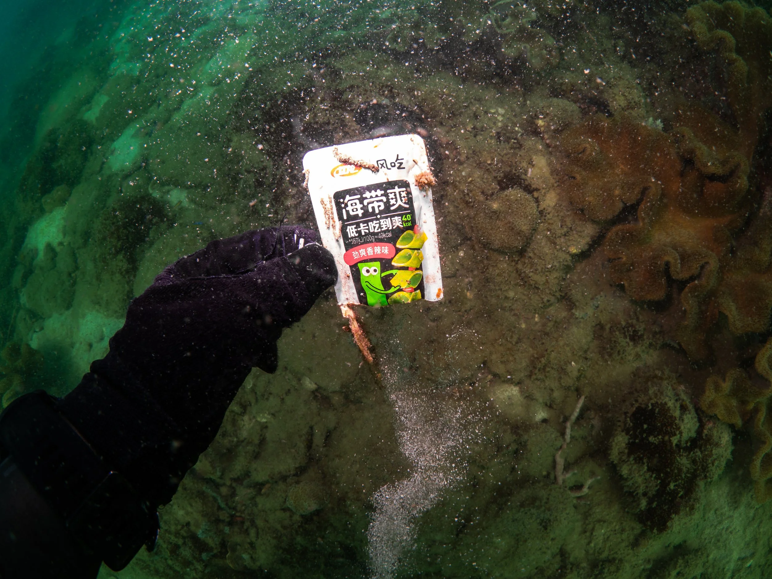 VietDivers - Lụm rác PQ Nam Đảo 19_12_2025-078.jpg