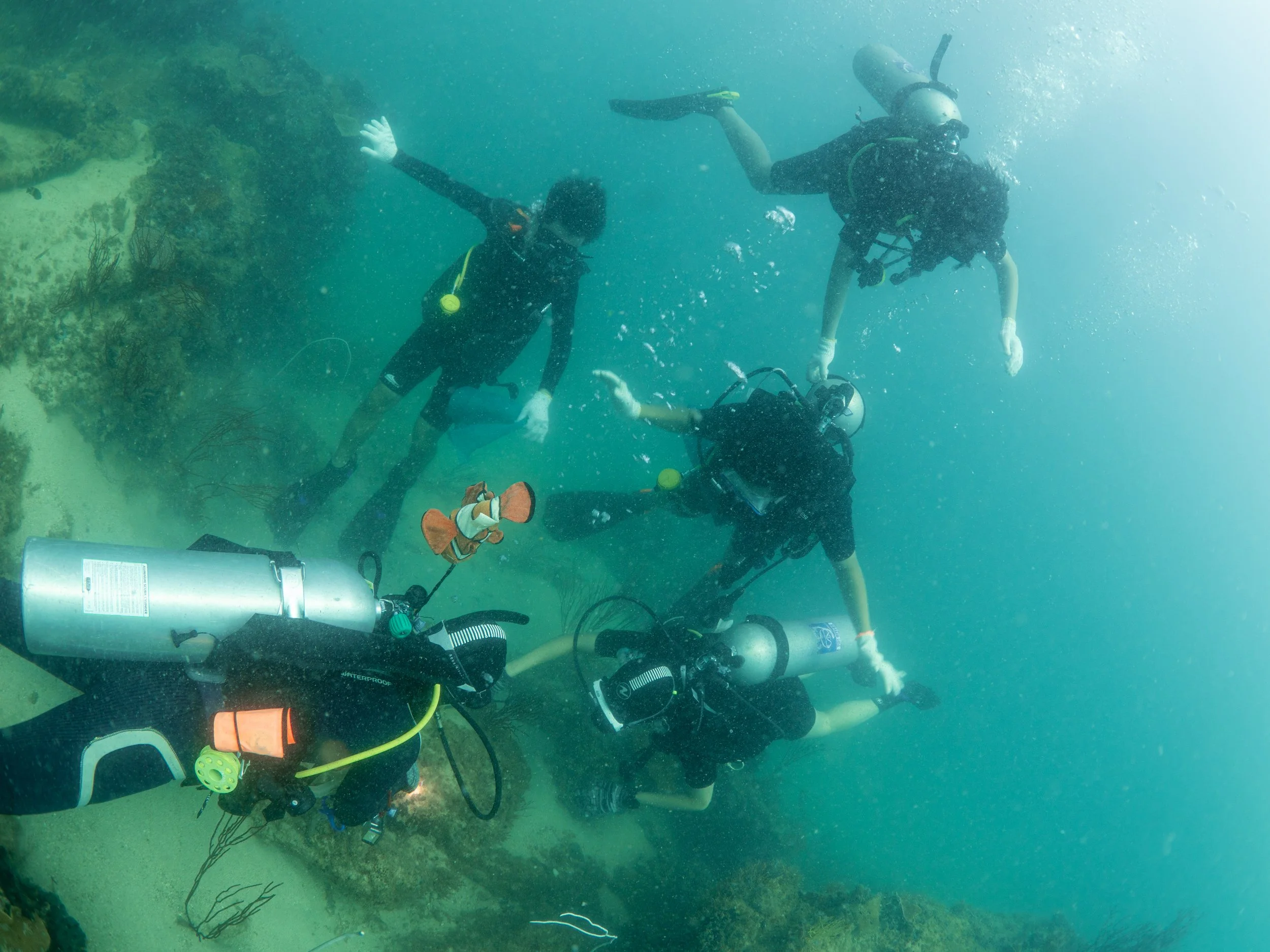 VietDivers - Lụm rác PQ Nam Đảo 21_12_2025-41.jpg