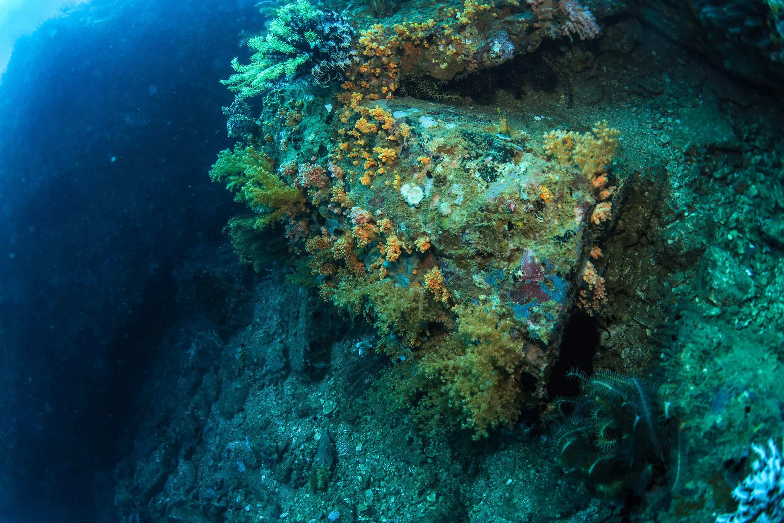 Underwater scene showing a rocky coral reef with various colorful corals and marine plants. The scene is vibrant with shades of green, yellow, and orange, with some sea creatures partly visible at the edges of the image.