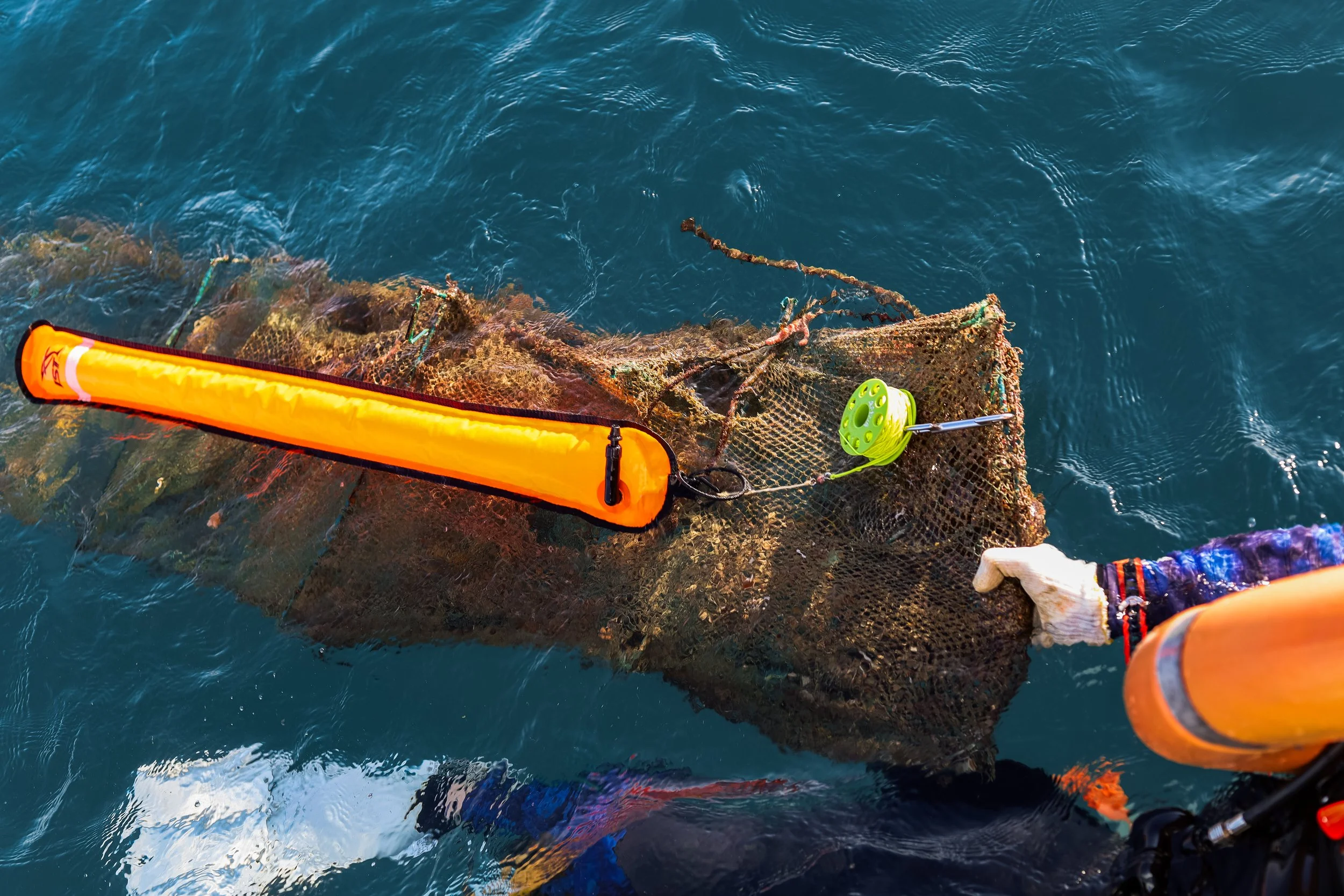 VietDivers - Lụm rác PQ Bắc Đảo 20_12_2025-184.jpg