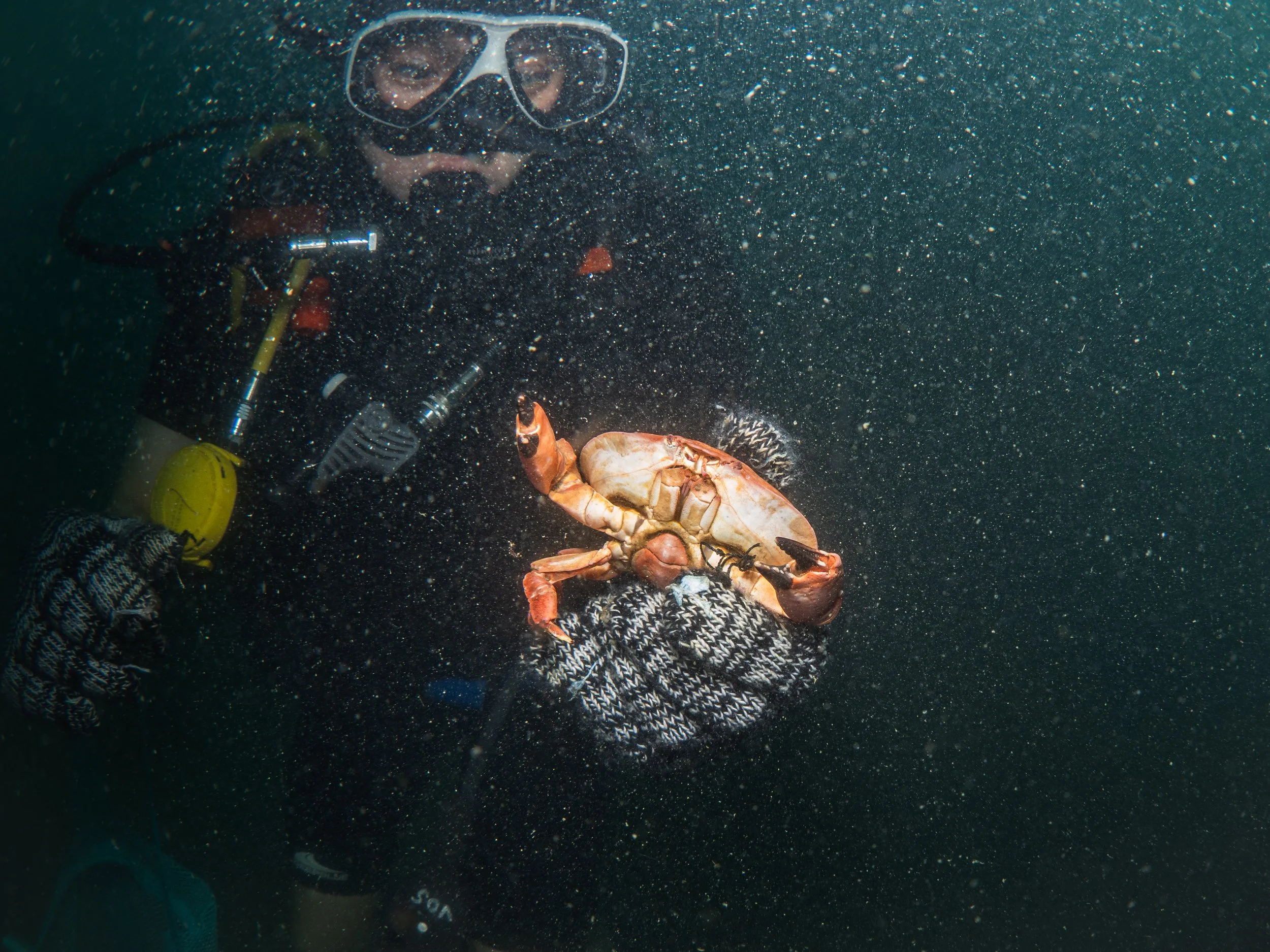 VietDivers - Lụm rác PQ Bắc Đảo 20_12_2025-57.jpg