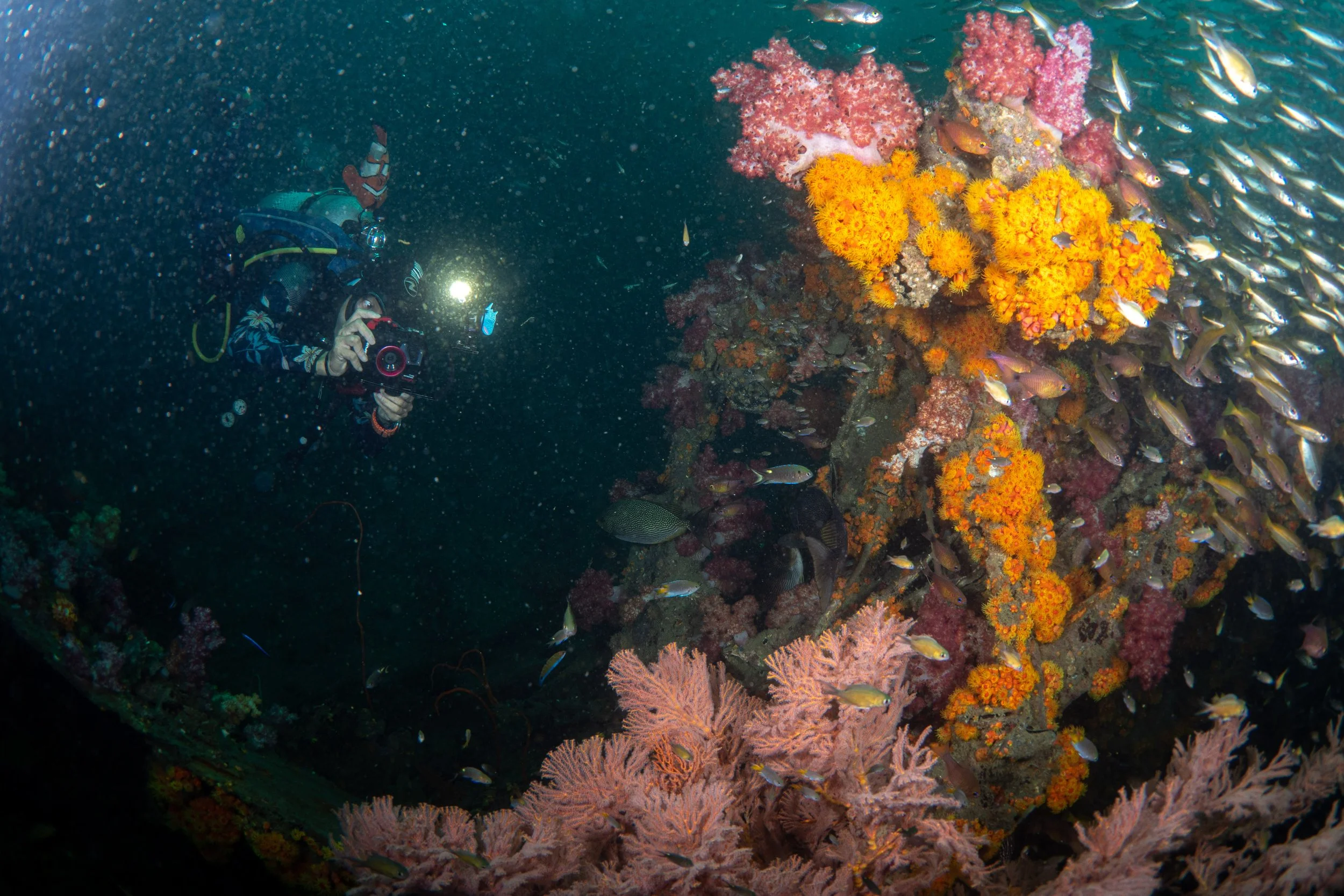 Viet Divers - Phuket trip 12-3-24-19.jpg