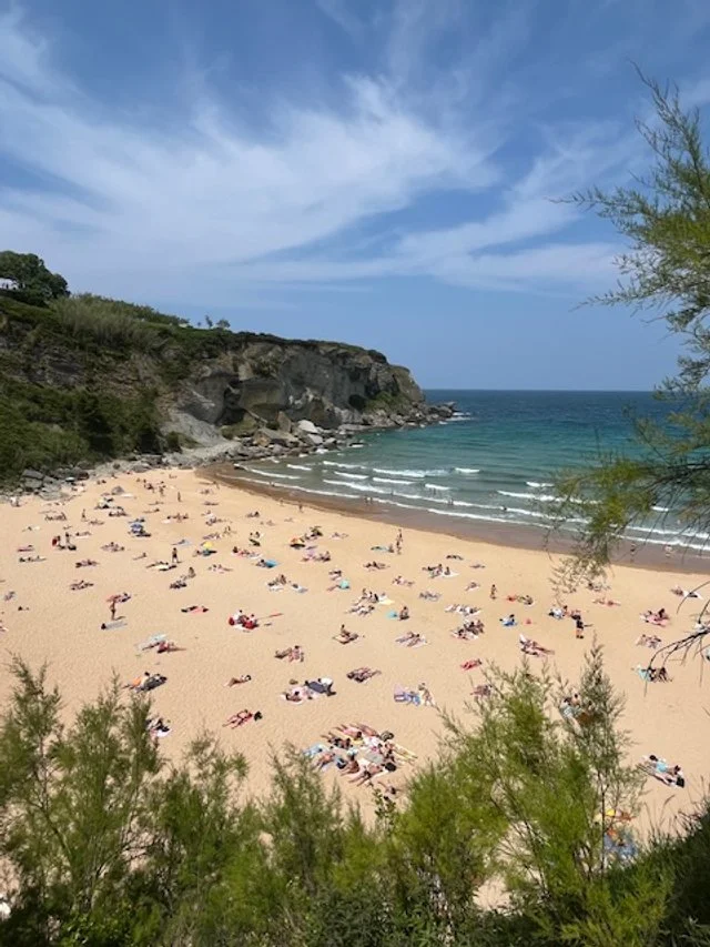 A busy beach with many people sunbathing and relaxing on sand, surrounded by green foliage, with cliffs and ocean in the background under a partly cloudy sky.