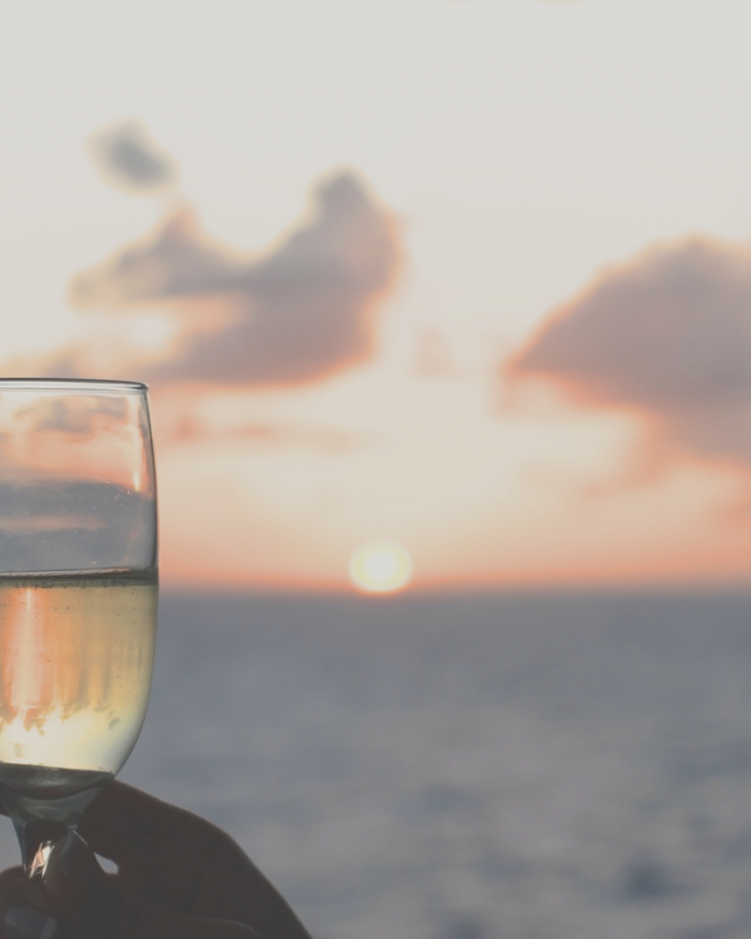 Silhouette of a woman with long hair standing against a sunset sky with city lights in the distance.
