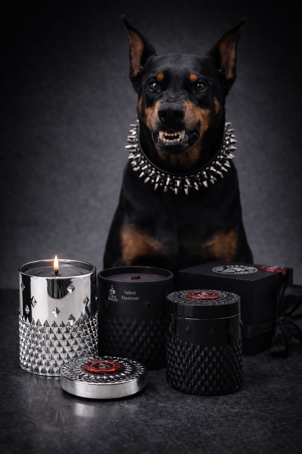 A black and tan dog with pointed ears and a silver spiked collar, sitting behind black and silver decor items including candles and a box, against a dark background.