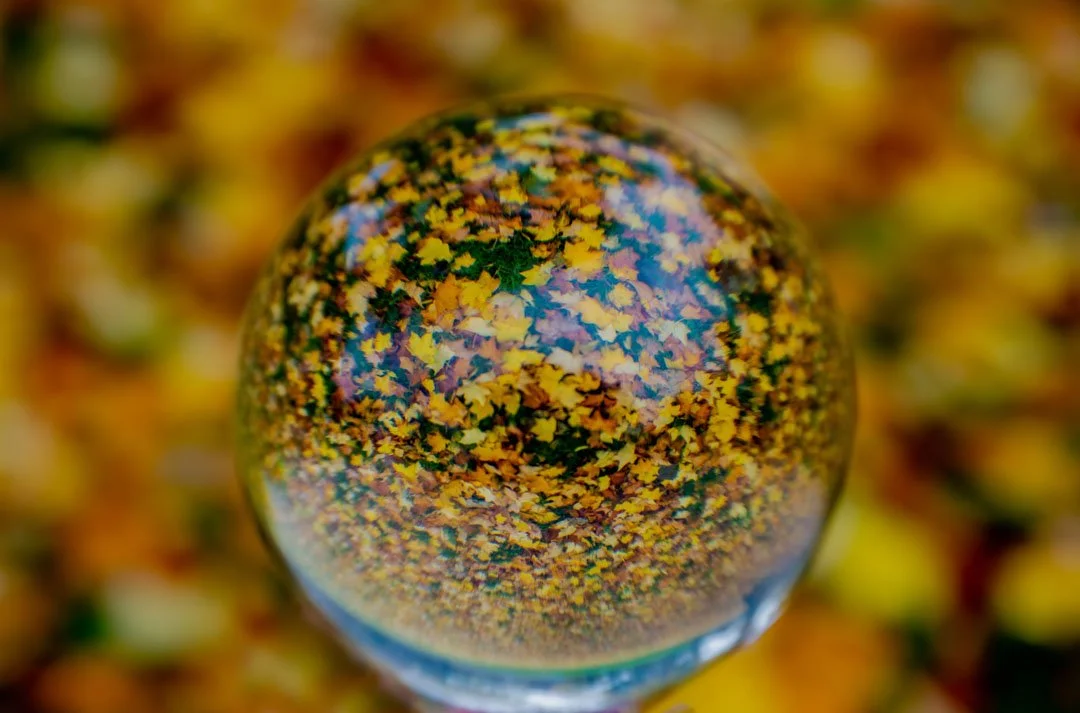 Close-up of a glass marble with a colorful, floral pattern inside, reflecting the surrounding similar marbles.