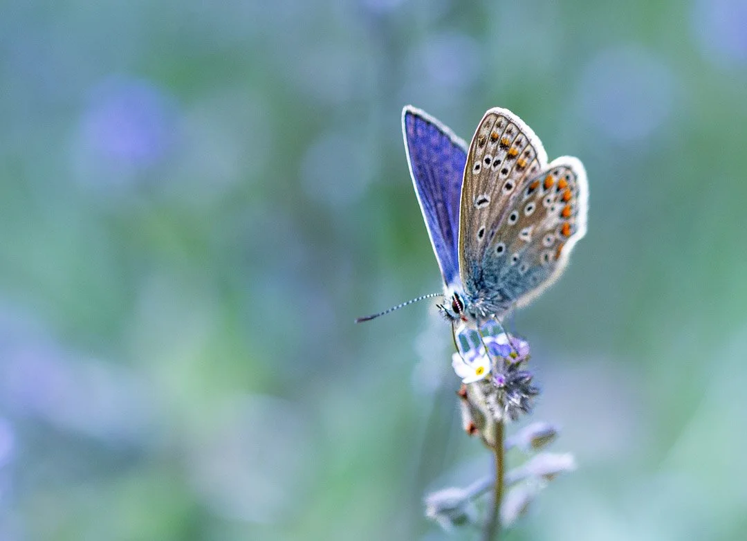 Discover Hidden Worlds