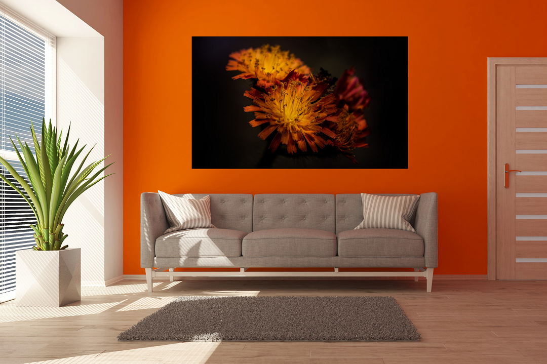 Stunning Fox & Cubs Flower in a moody scene