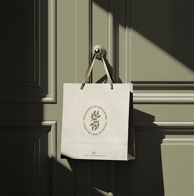 Bag.png