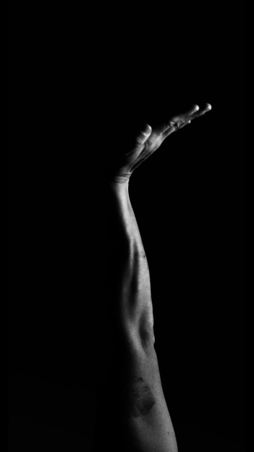 Mobilità funzionale