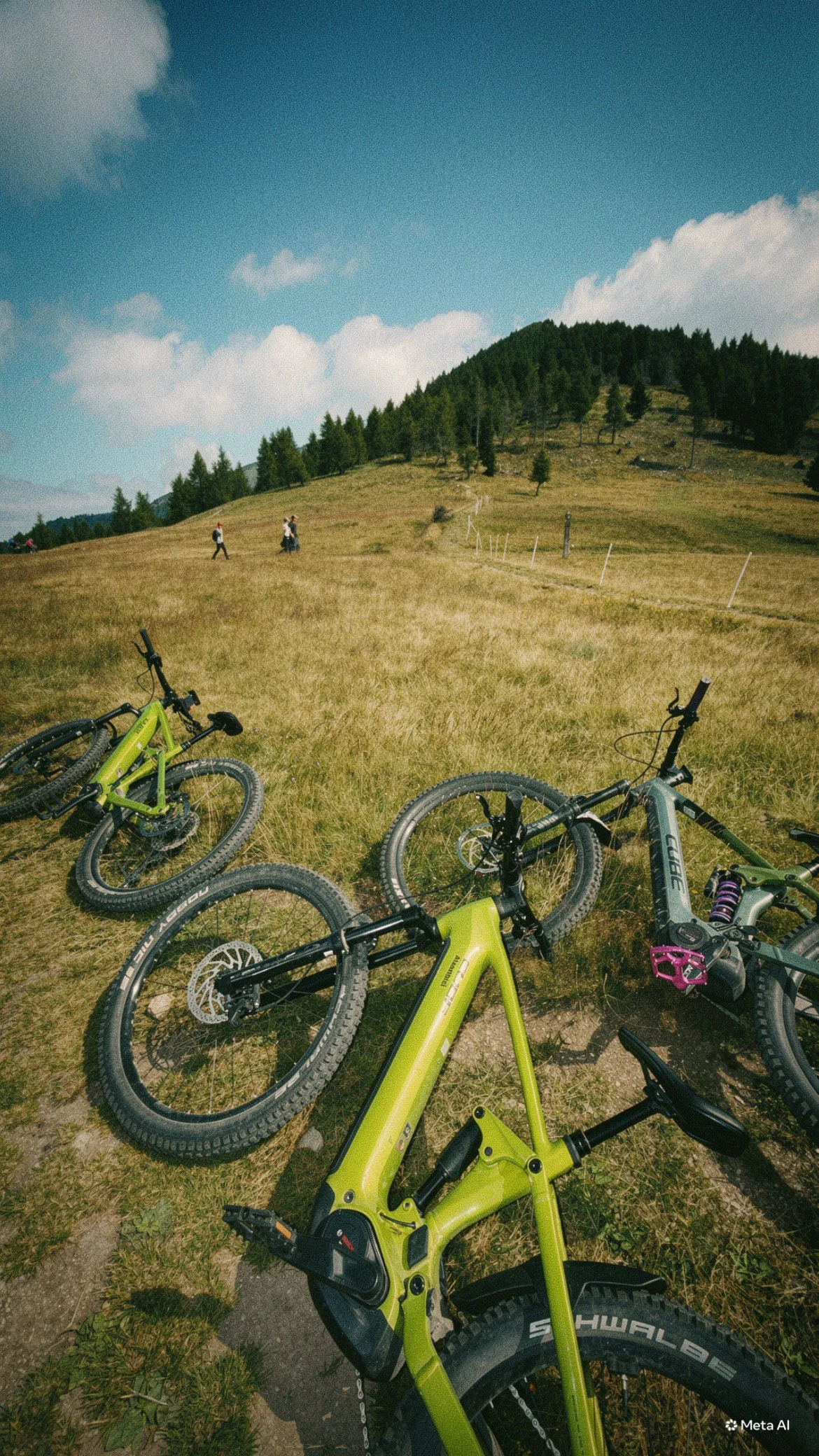 08:00 - Nif: Alpine Taste, Vetriolo