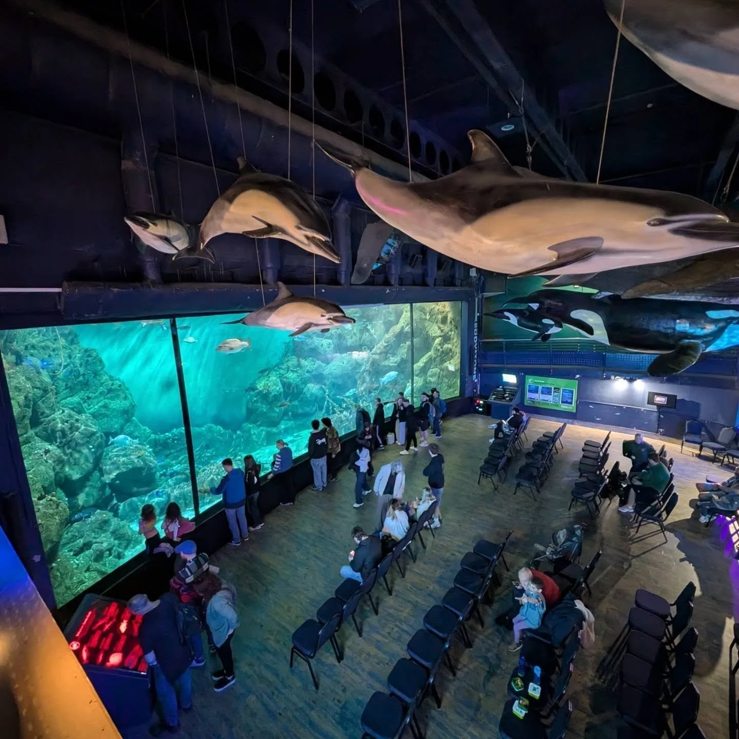 Nice afternoon out at the UKs largest aquarium @nationalmarineaquarium, Plymouth 🦈🐟🐠🐡
#aquarium #plymouth #nationalaquarium #fish