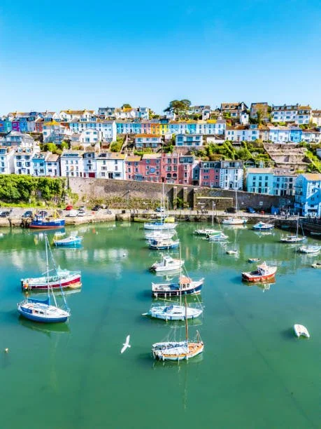 Colorful houses on a hillside overlooking a harbor with sailboats and yachts docked in calm water.