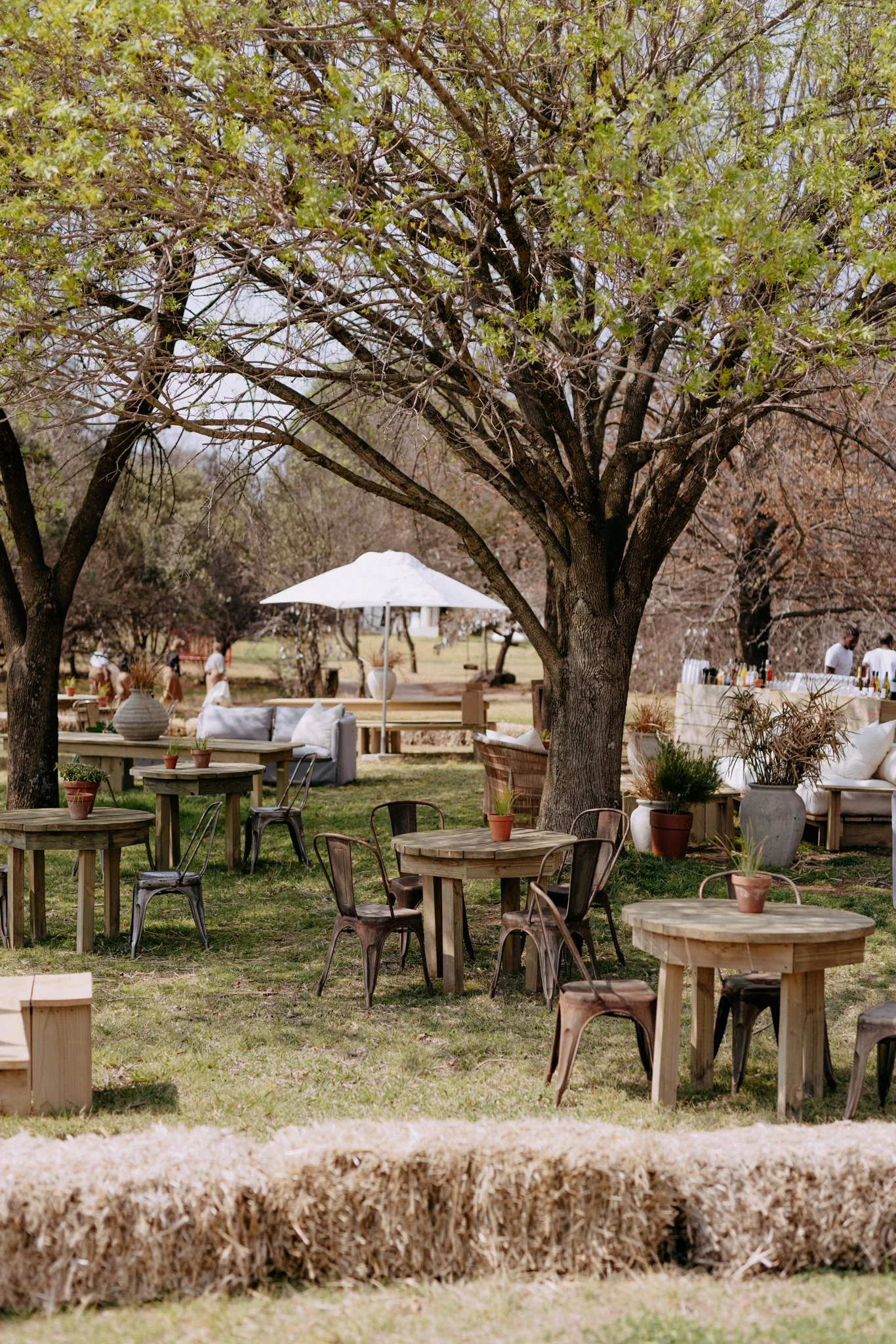 NIROX_Spring Jazz Concert_Decor_2023-09-03_Photo_Jess Sterk-014.jpg