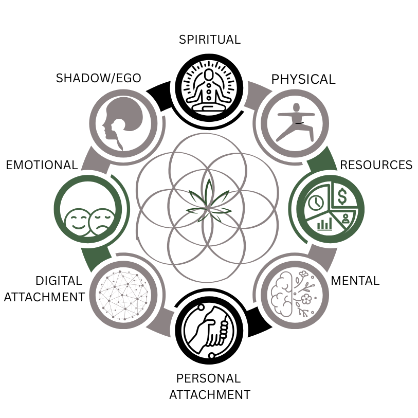 The Holistic Lifestyle Alignment tool assessing 8 dimensions of mental wellbeing.