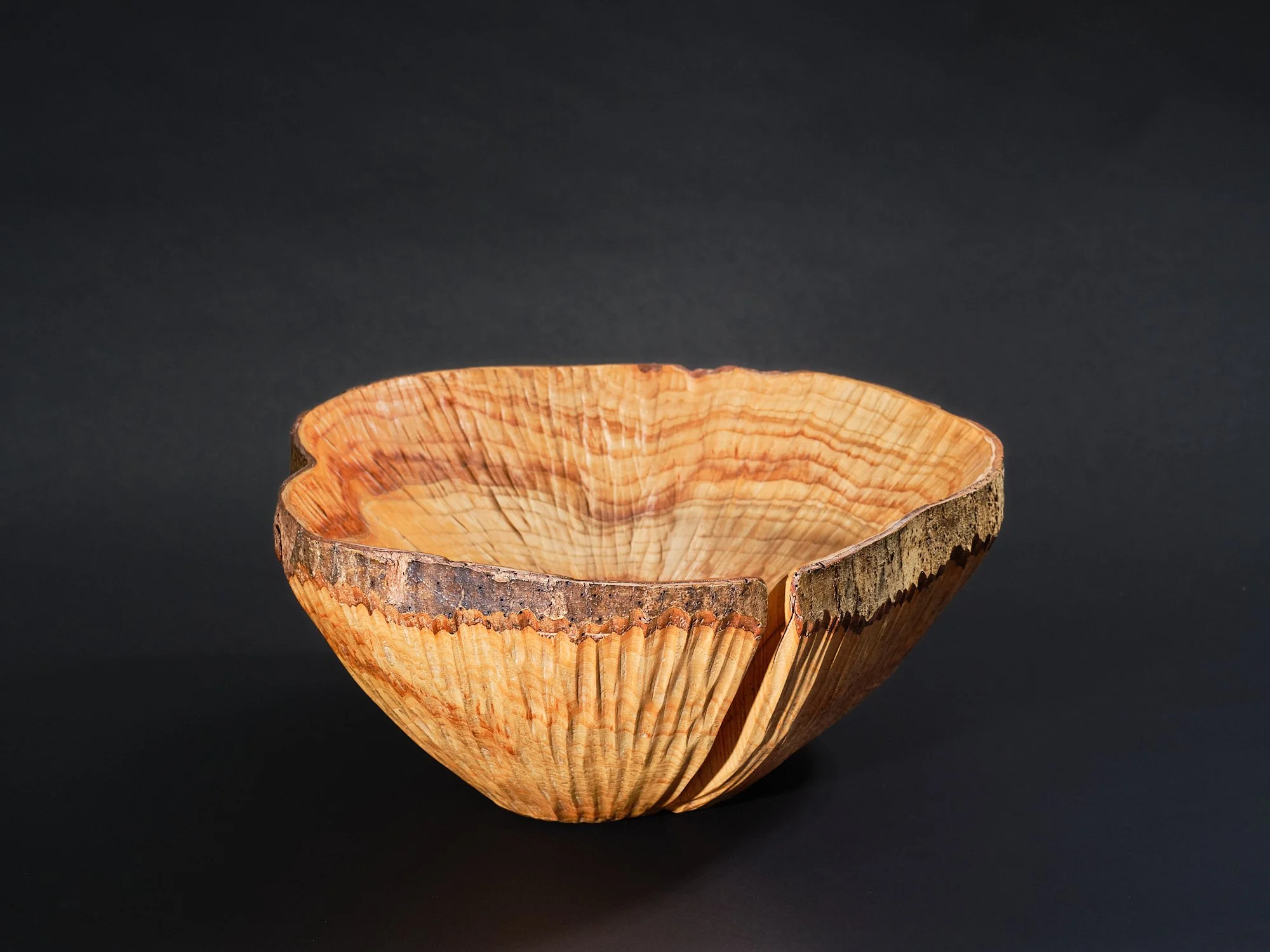 A sculptural wooden bowl showing strong radial grain with large split, made from ash with a ring of bark at the top and smooth textured interior, placed on white surface against black background