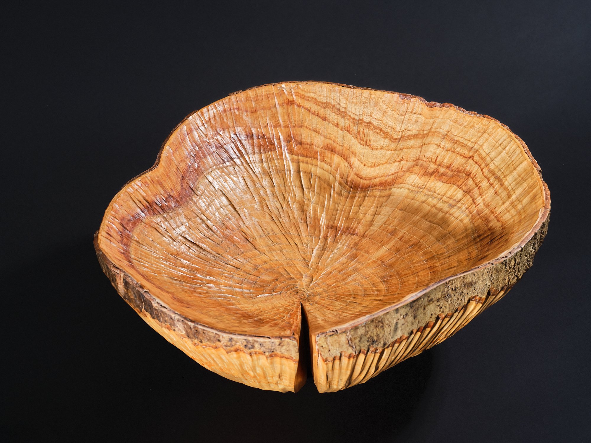 A sculptural wooden bowl showing strong radial grain with large split, made from ash with a ring of bark at the top and smooth textured interior, placed on white surface against black background