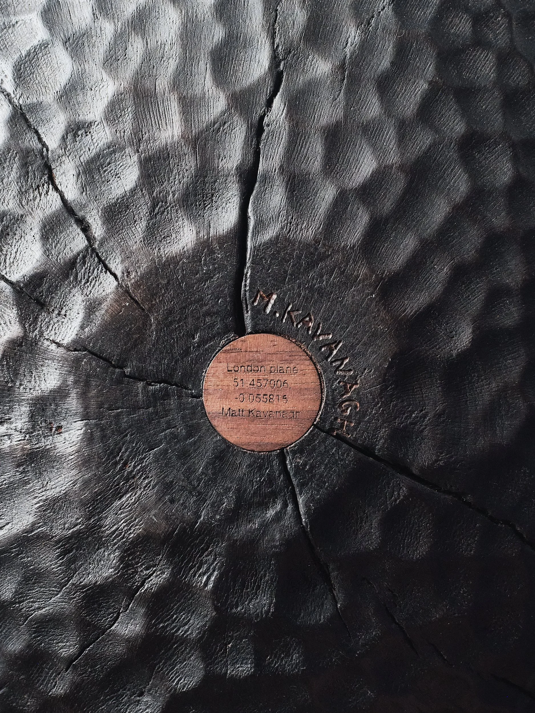 Close-up image of a black wooden sculpture with a circular engraved plate at the centre, containing coordinates of where the tree defined its surroundings for decades.  The wood has a textured, rough surface with various patterns and cracks.