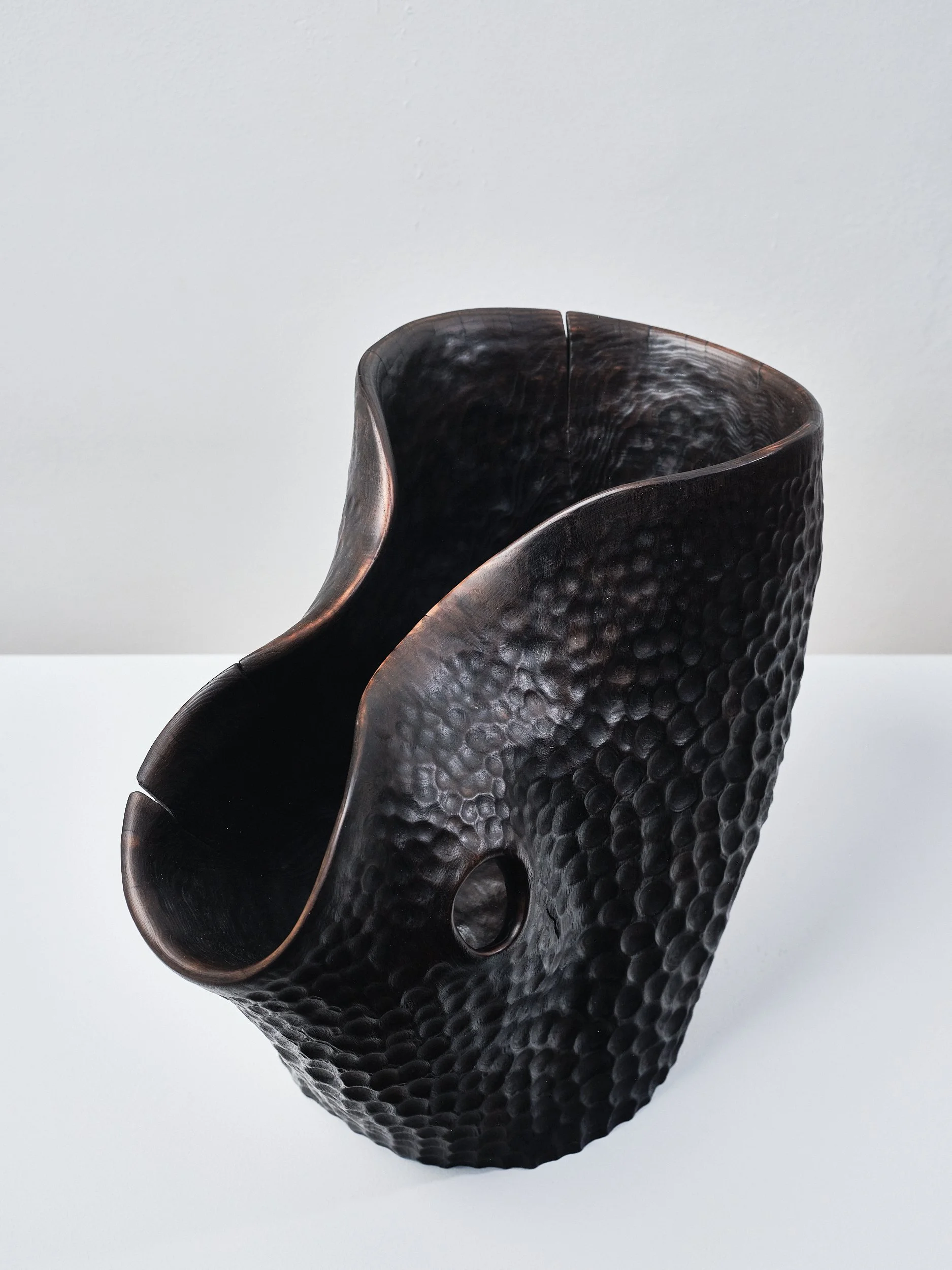 Sustainable contemporary craft art. A sculpture carved from a forked log of foraged urban ash, Organic curved opening and a black burnished textured, displayed on a white surface against a plain background in a gallery.